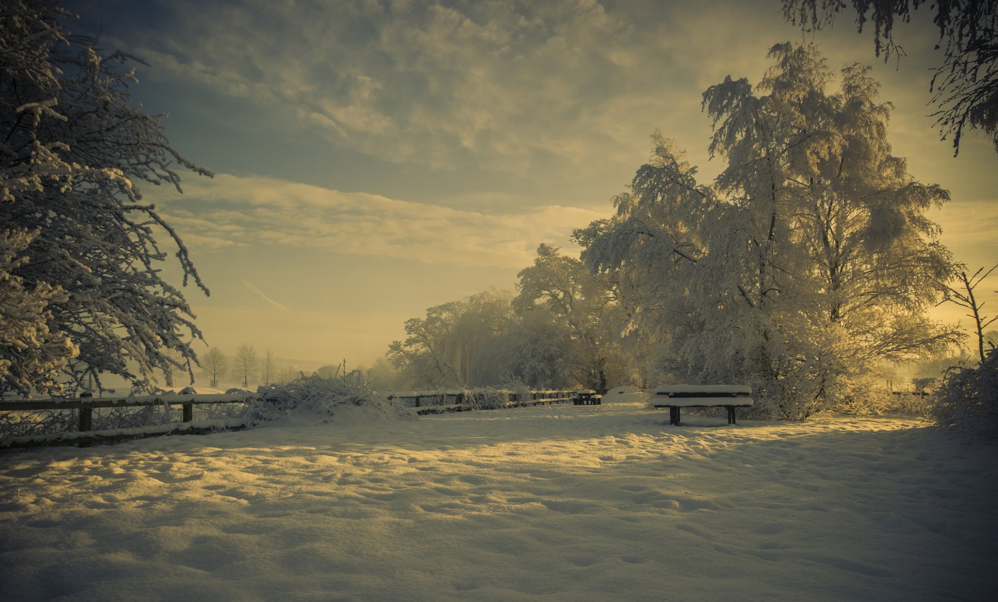 природа зима парк лавка снег