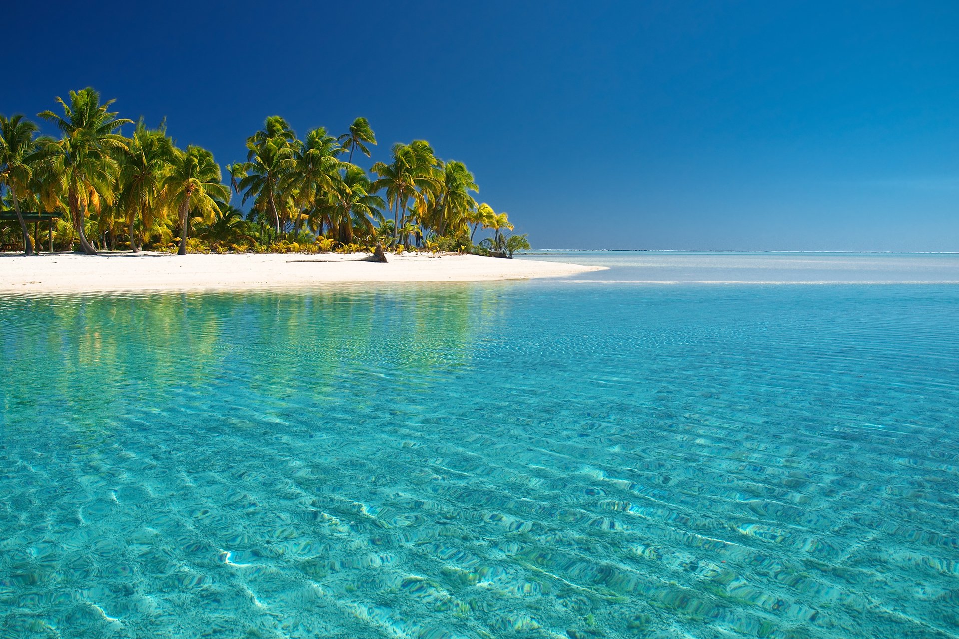 тихий океан остров aitutaki острова кука море пляж пальмы вода прозрачность