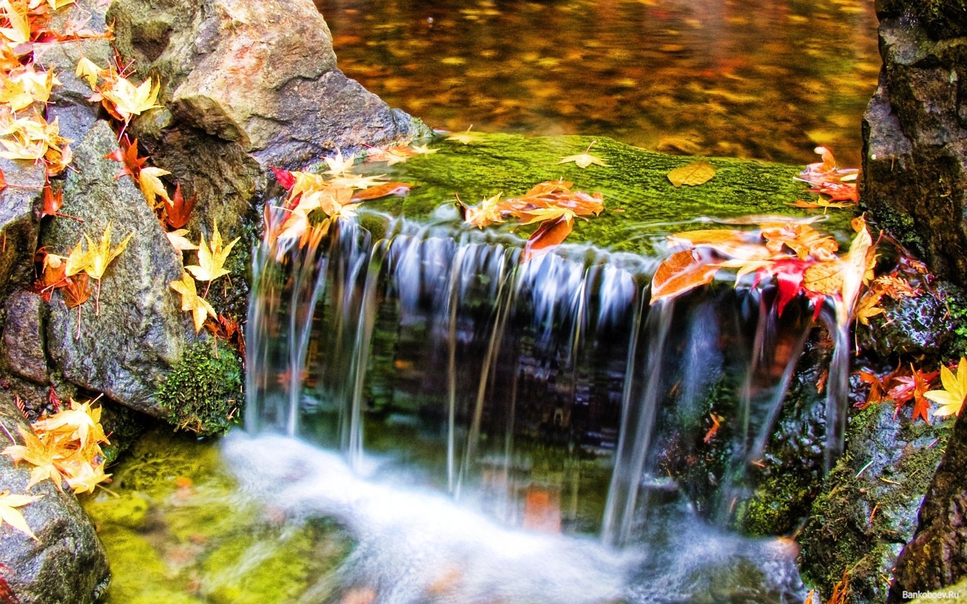 камни вода осень загрузить