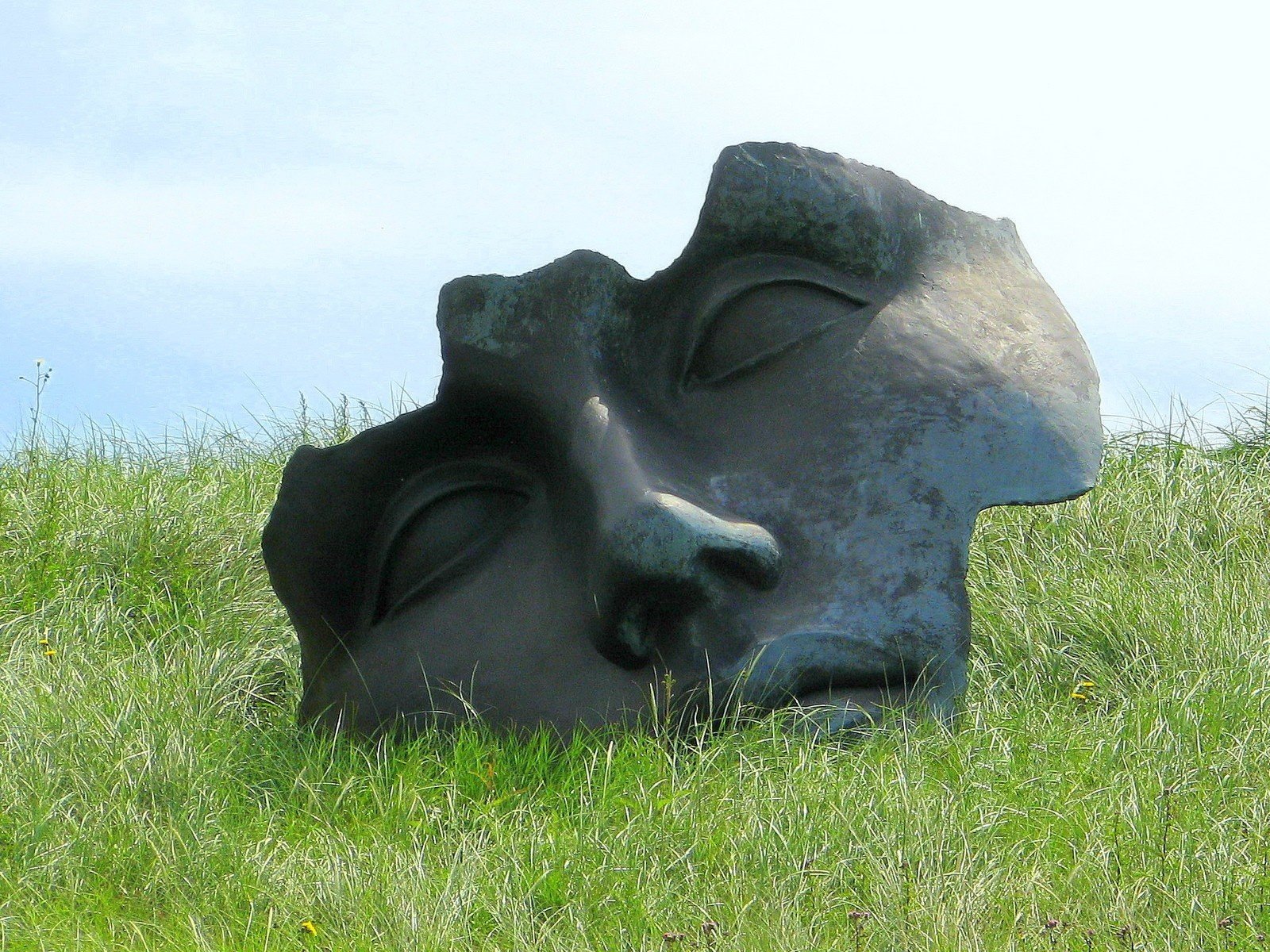 трава лицо памятник
