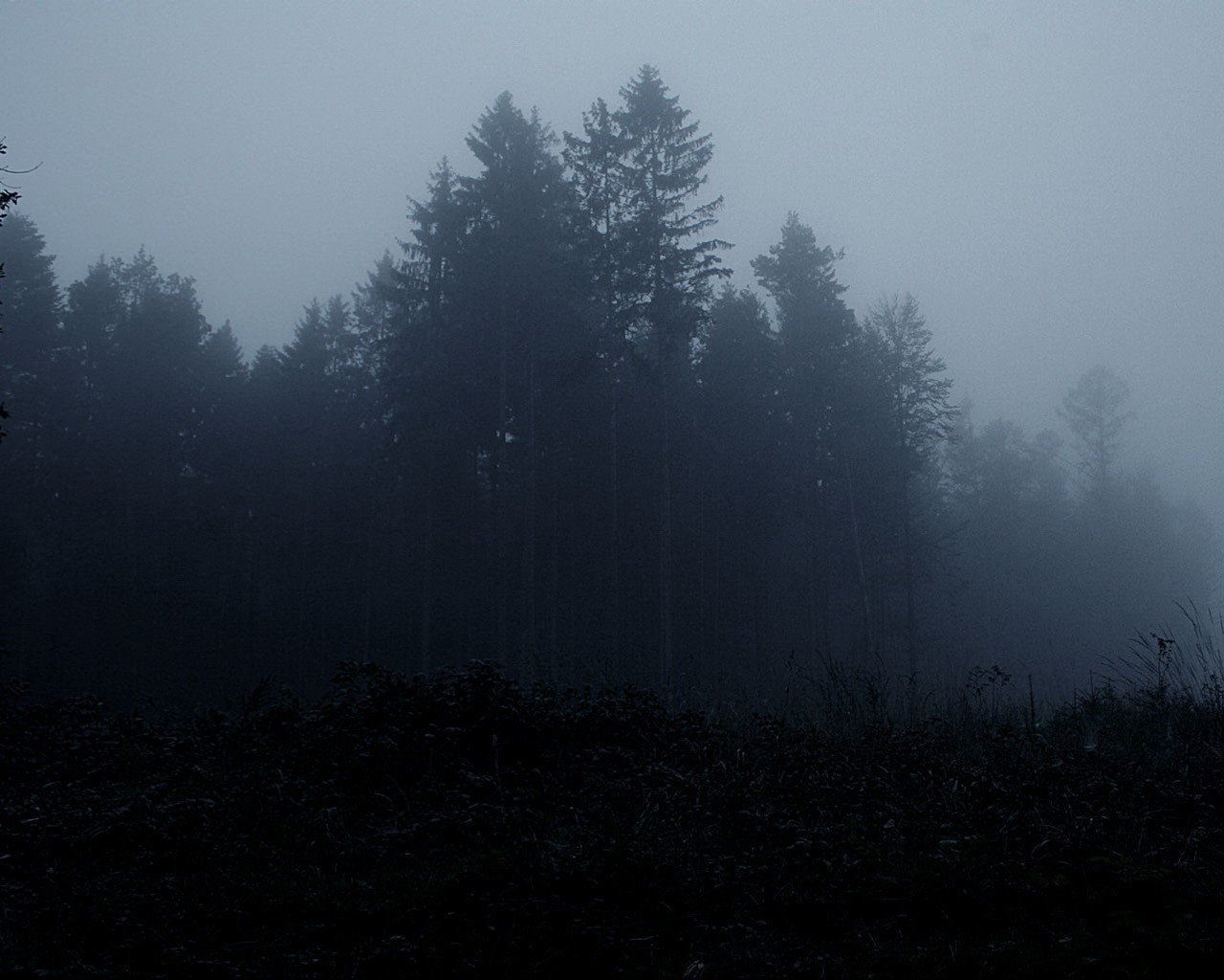 Лес мрак загрузить