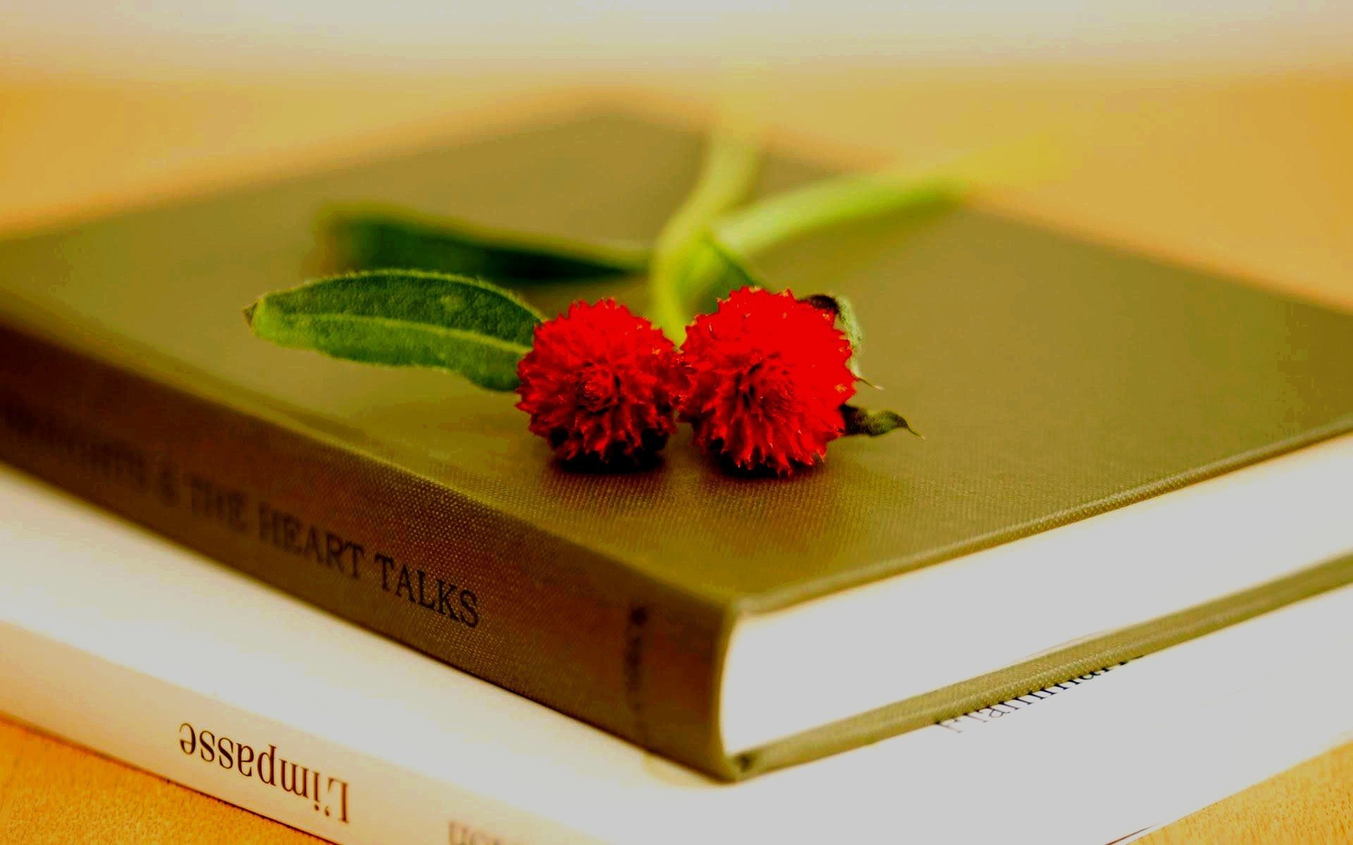 Книжка с цветами