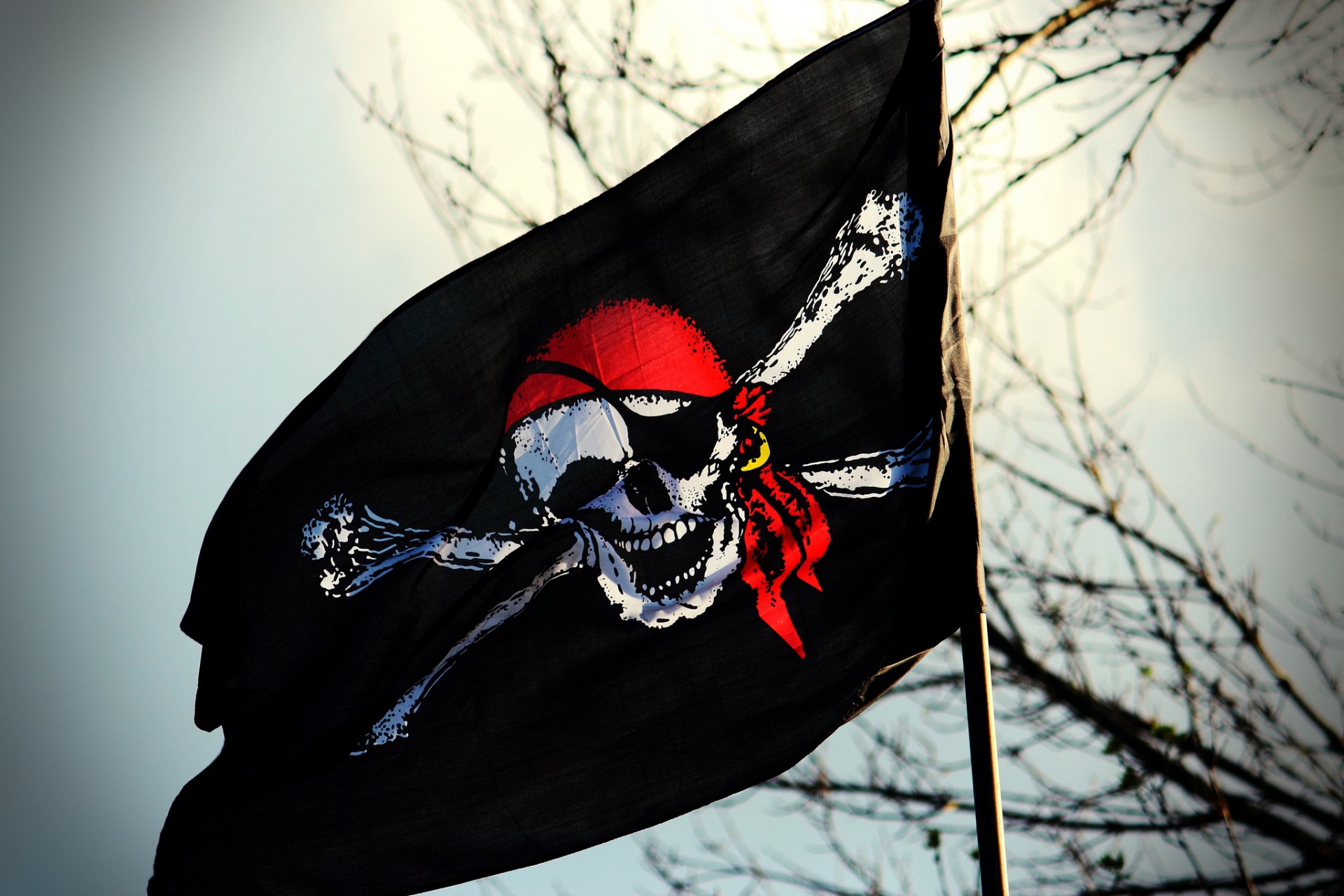 флаг череп веселый роджер пират