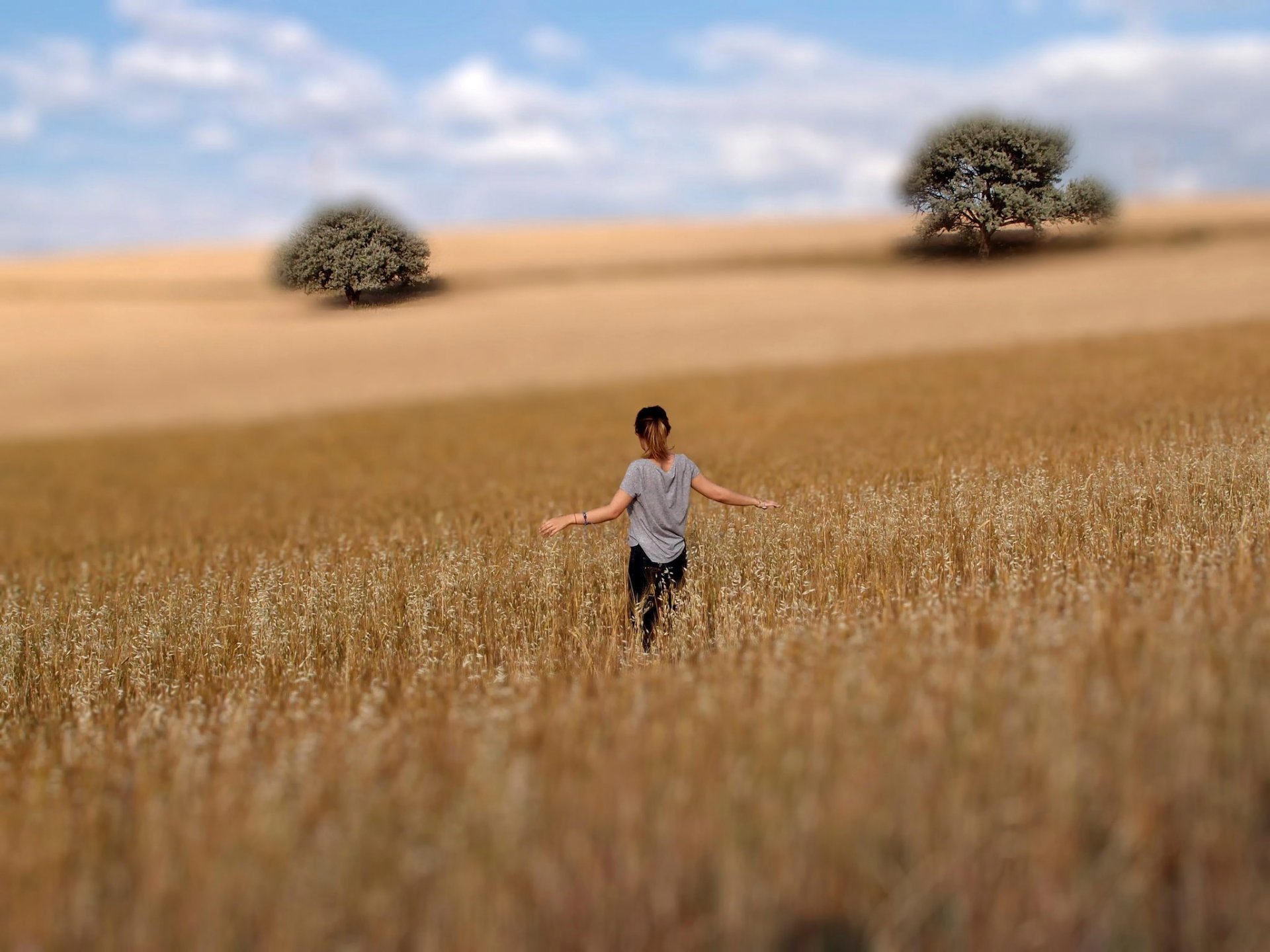 Расстались поля. Человек в поле. Фотосессия в поле. Пшеничное поле человек. Человек на фоне поля.