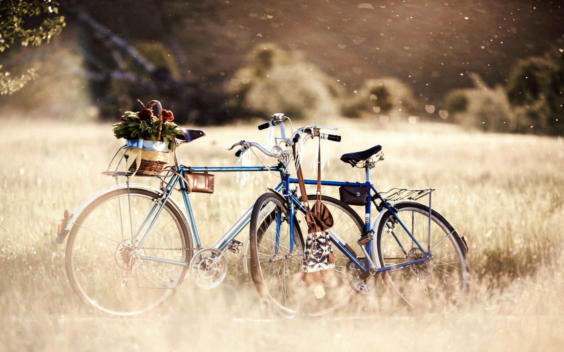 Девочка велосипед цветочки скачать