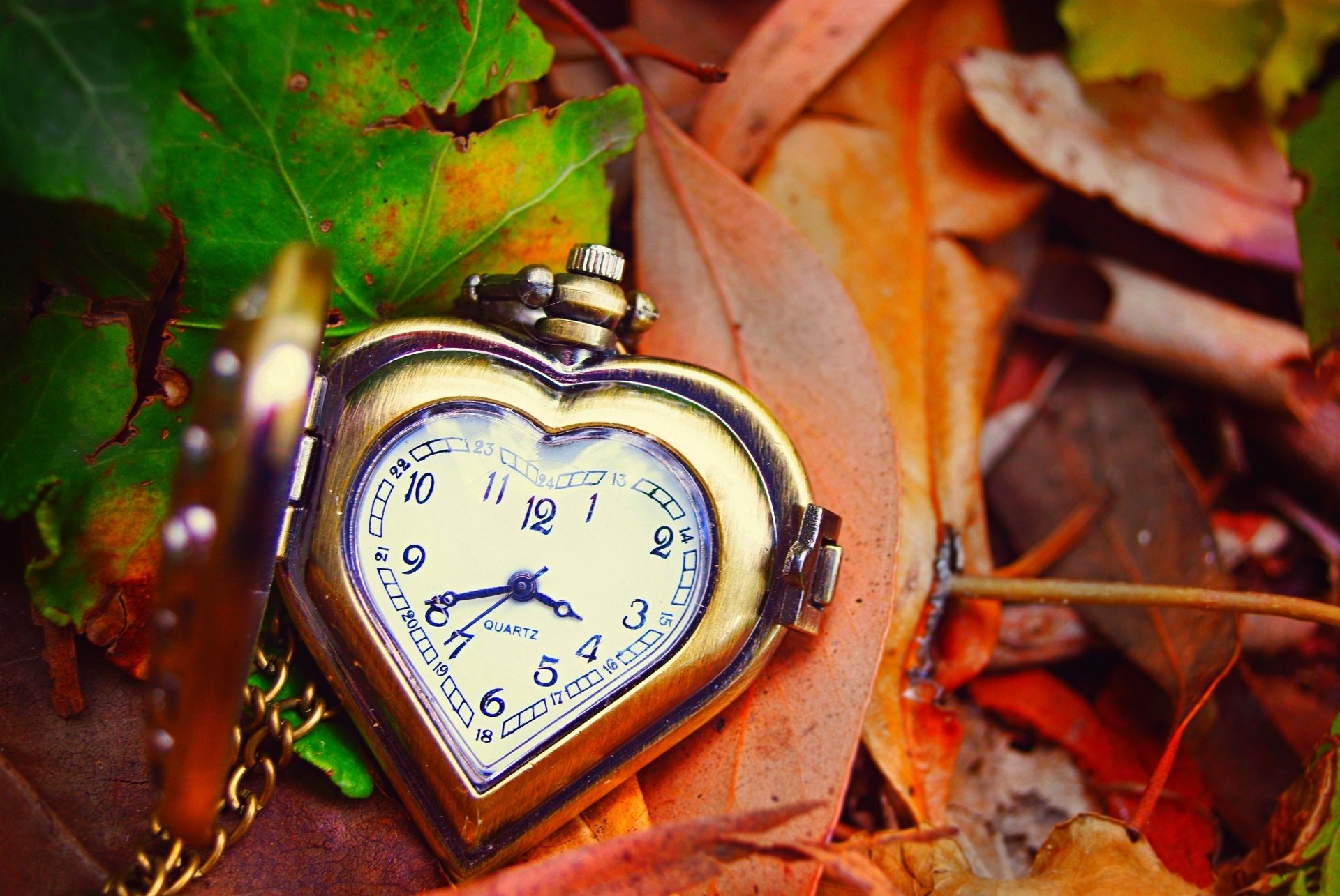 часы осень листья бесплатно