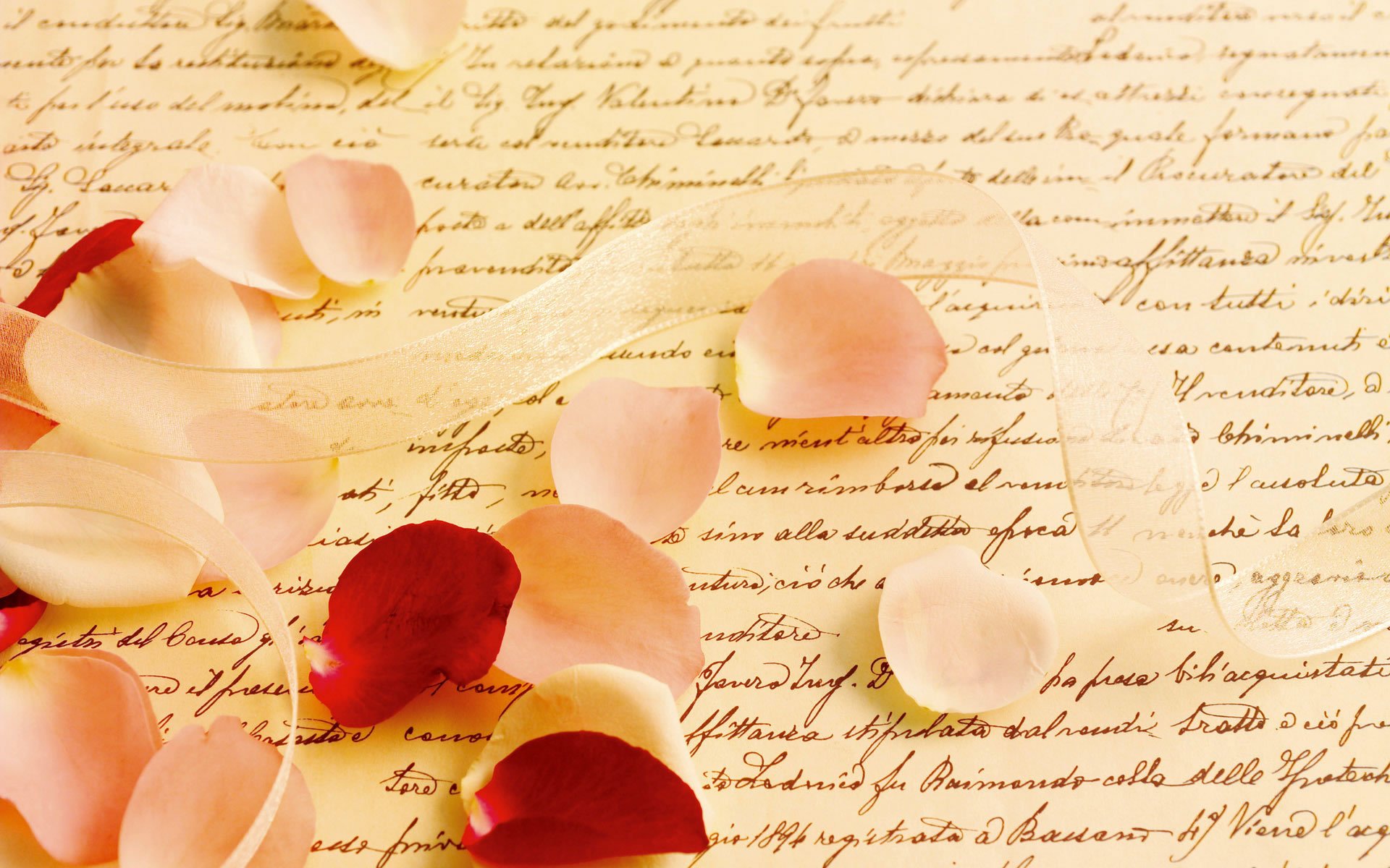 пергамент письмена письмо лепестки роза лента макро