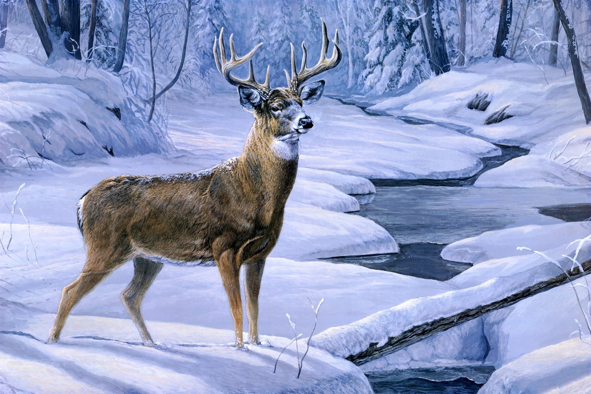 лора марк финберг ноябрь снег живопись олени ручей лес зимние снег олень зима