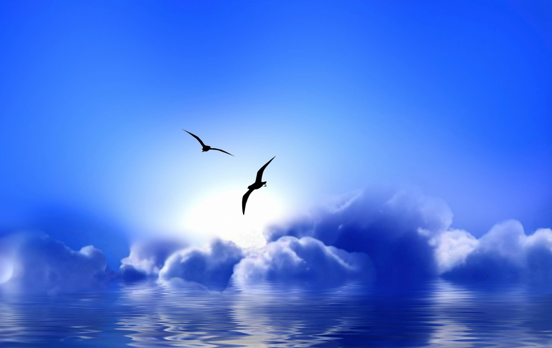 blue paradise чайки облака