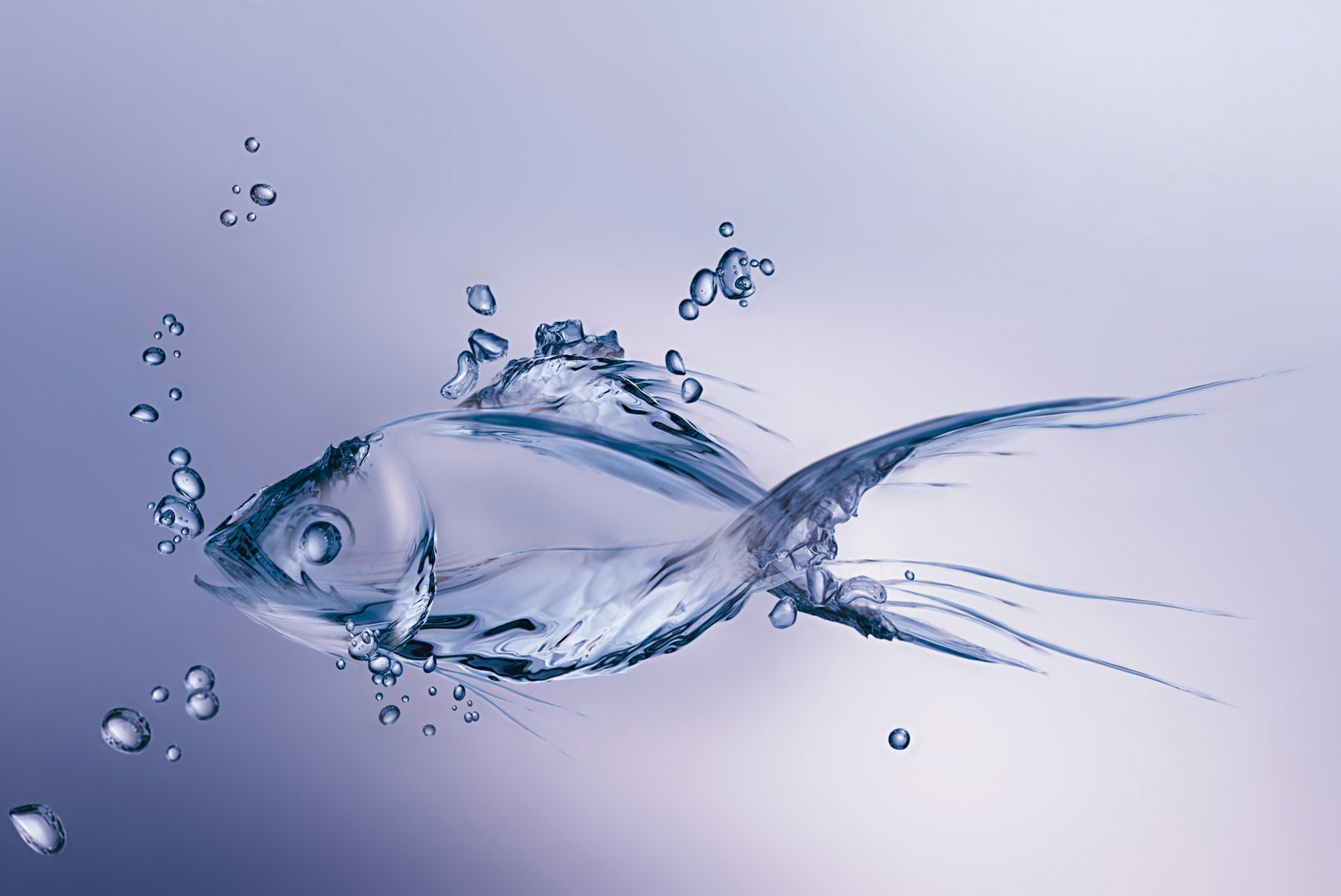 рыба сделал вода цифра пузыри минимализм сделан пузырьки