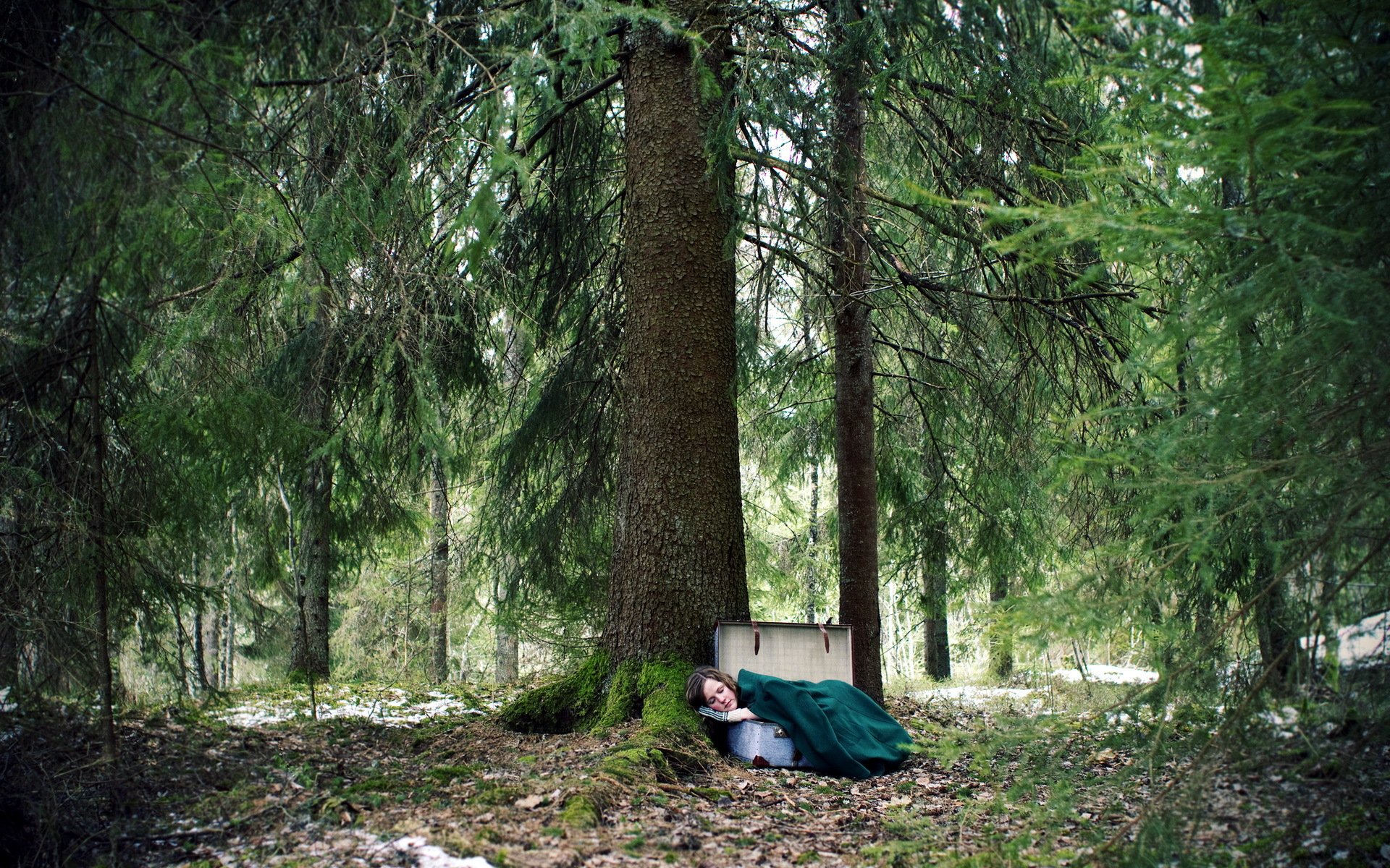 Хвойные сны. Сон в лесу. Человек в лесу. Заблудился в лесу.