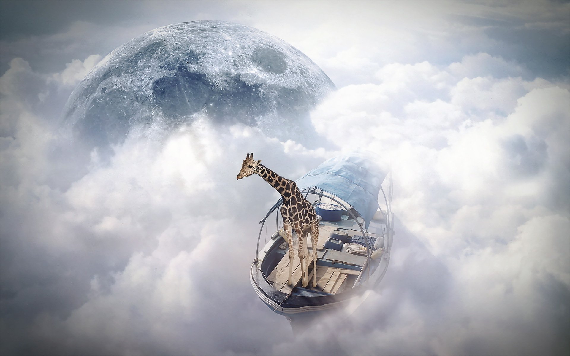 photomanipulation finearts небо моряк жираф