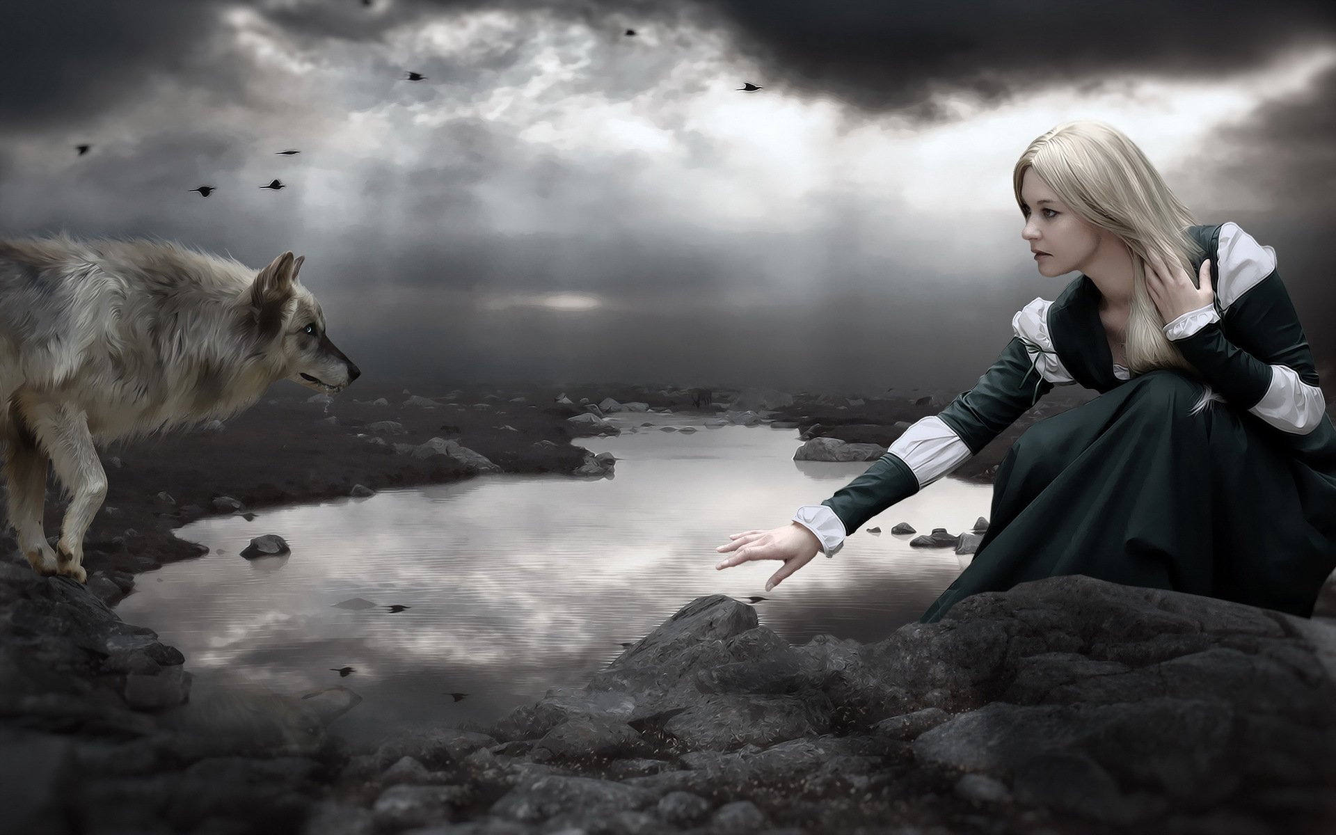 волк темный девушка озеро photomanipulation
