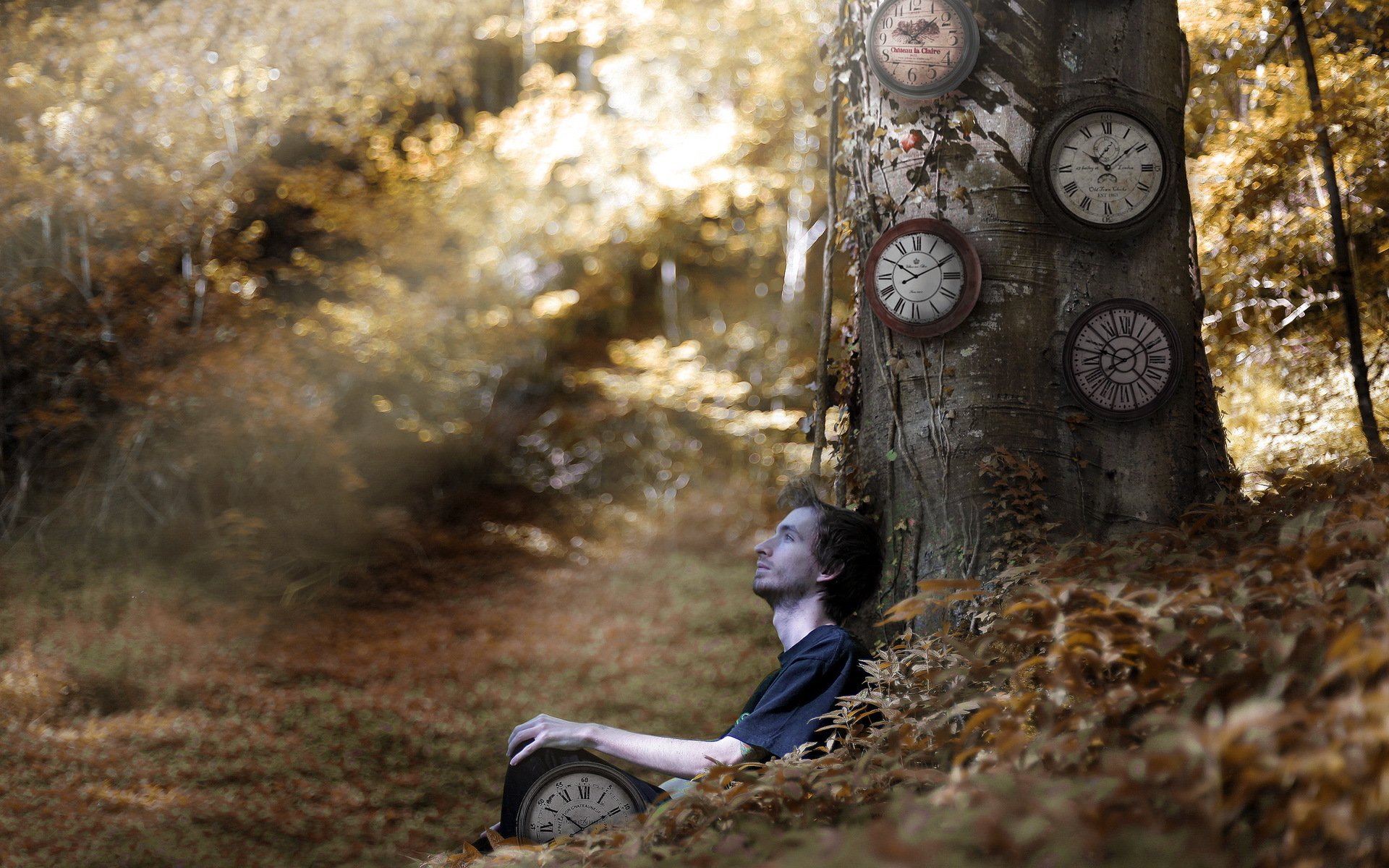 Часы тишины после. Часы в лесу. Осень одиночество. Человек в лесу.