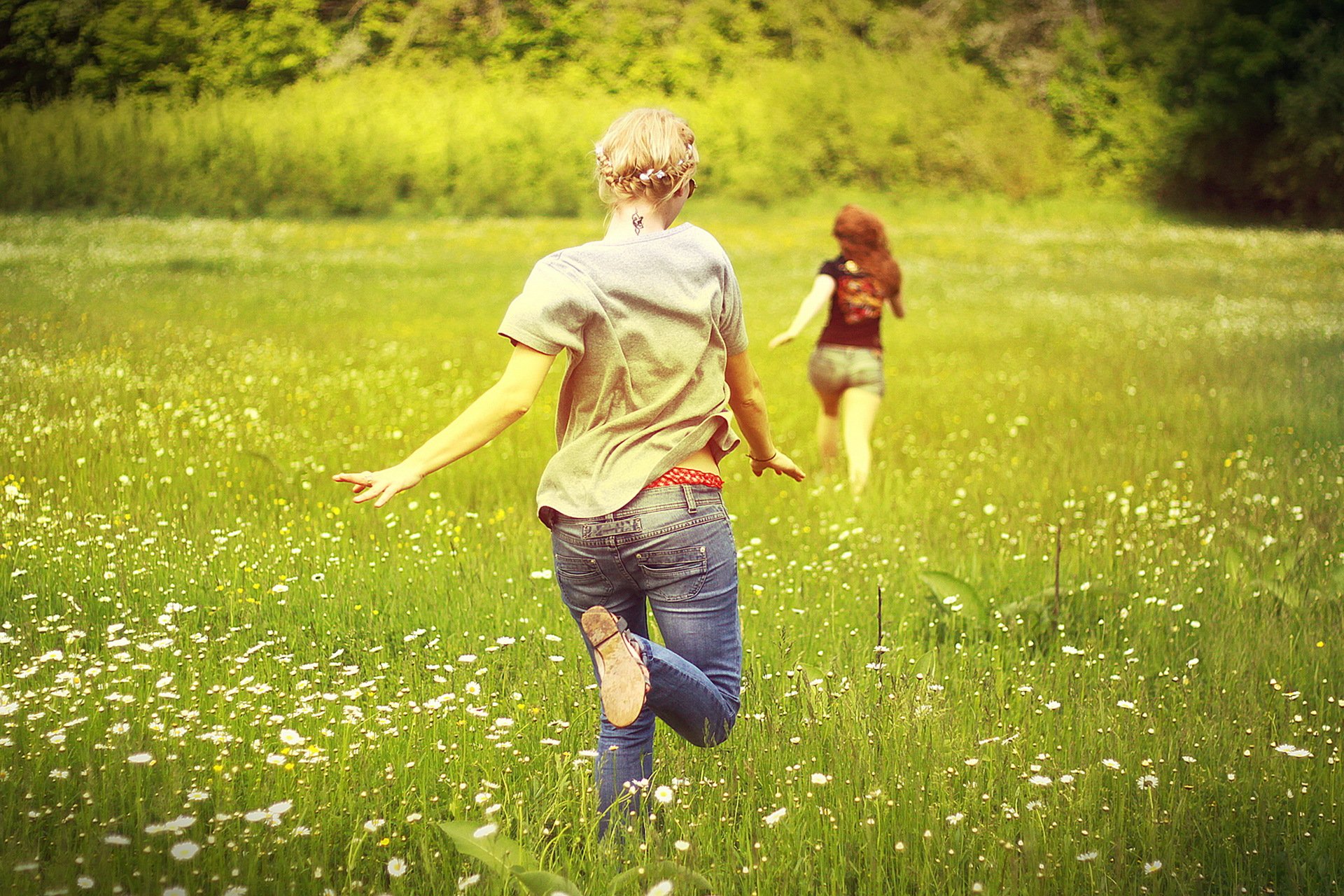 Девушка с ромашками в траве бесплатно