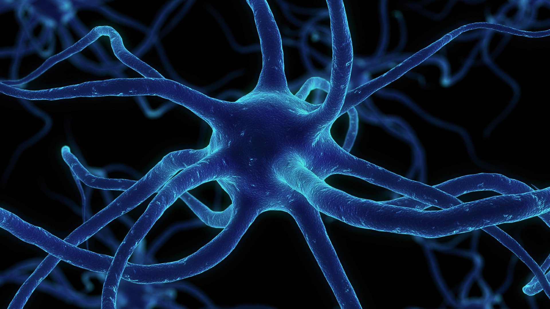 нейрон синапсы сеть