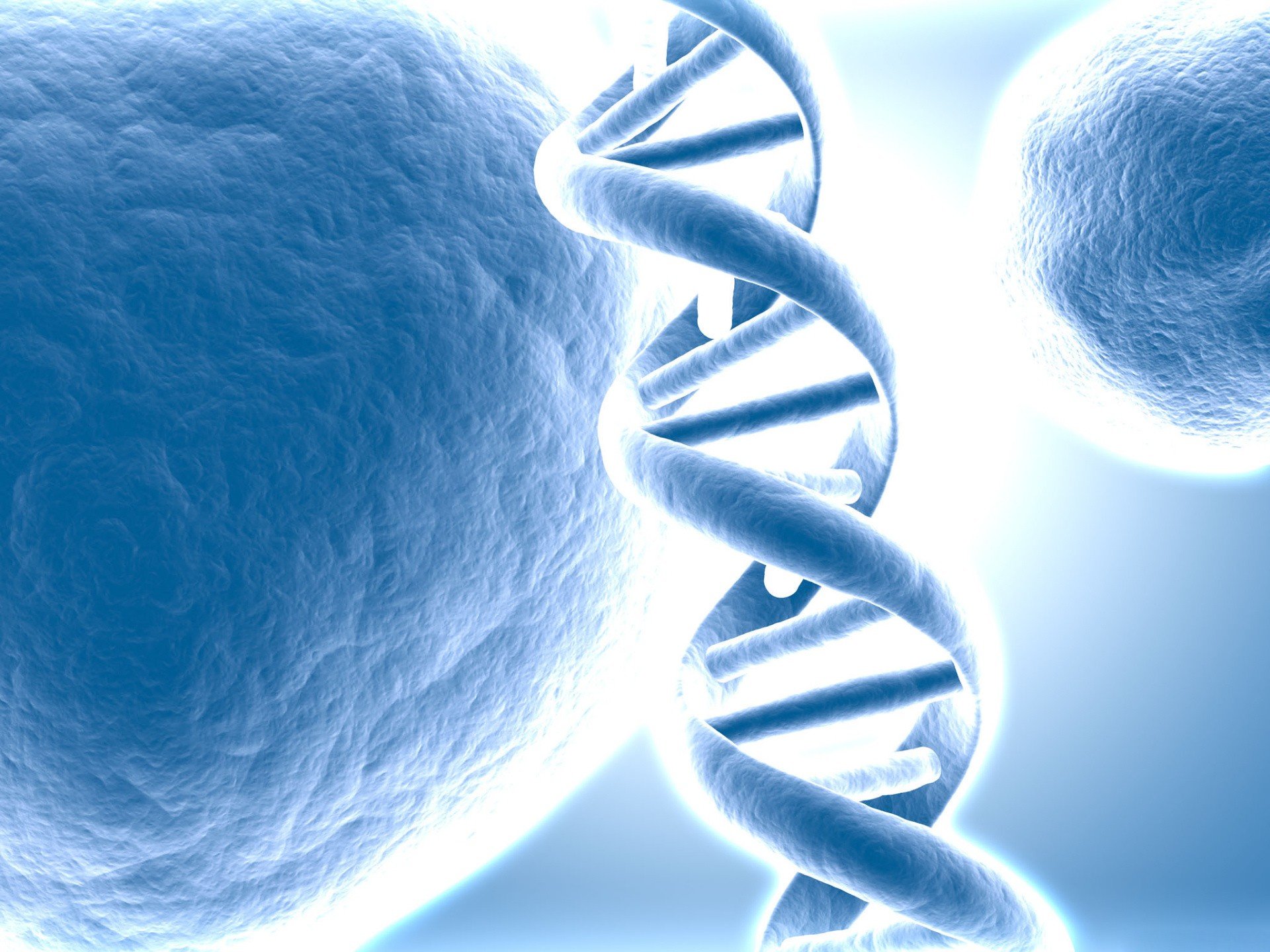 графика 3D ДНК graphics DNA бесплатно