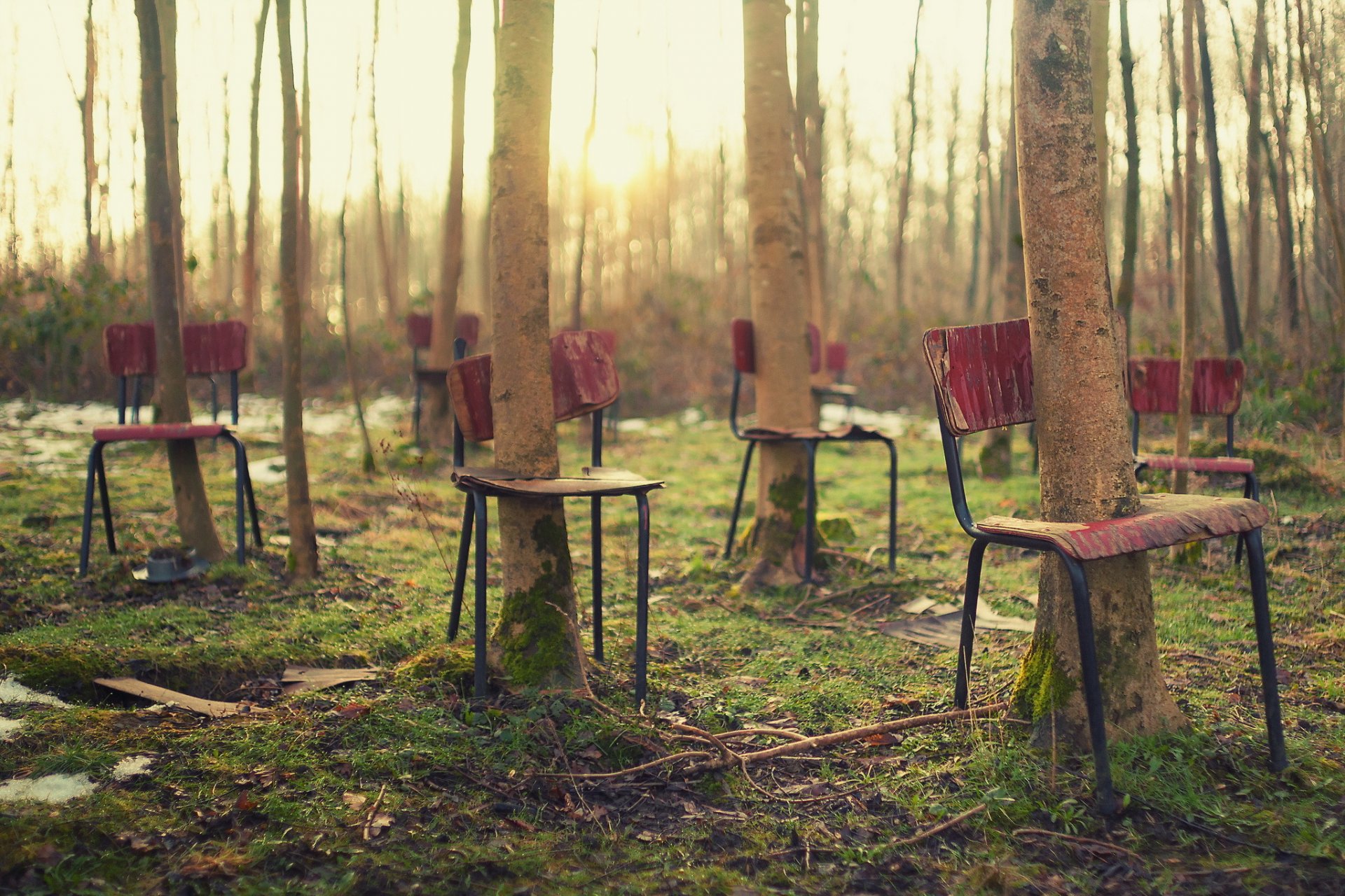 Столик в лесу