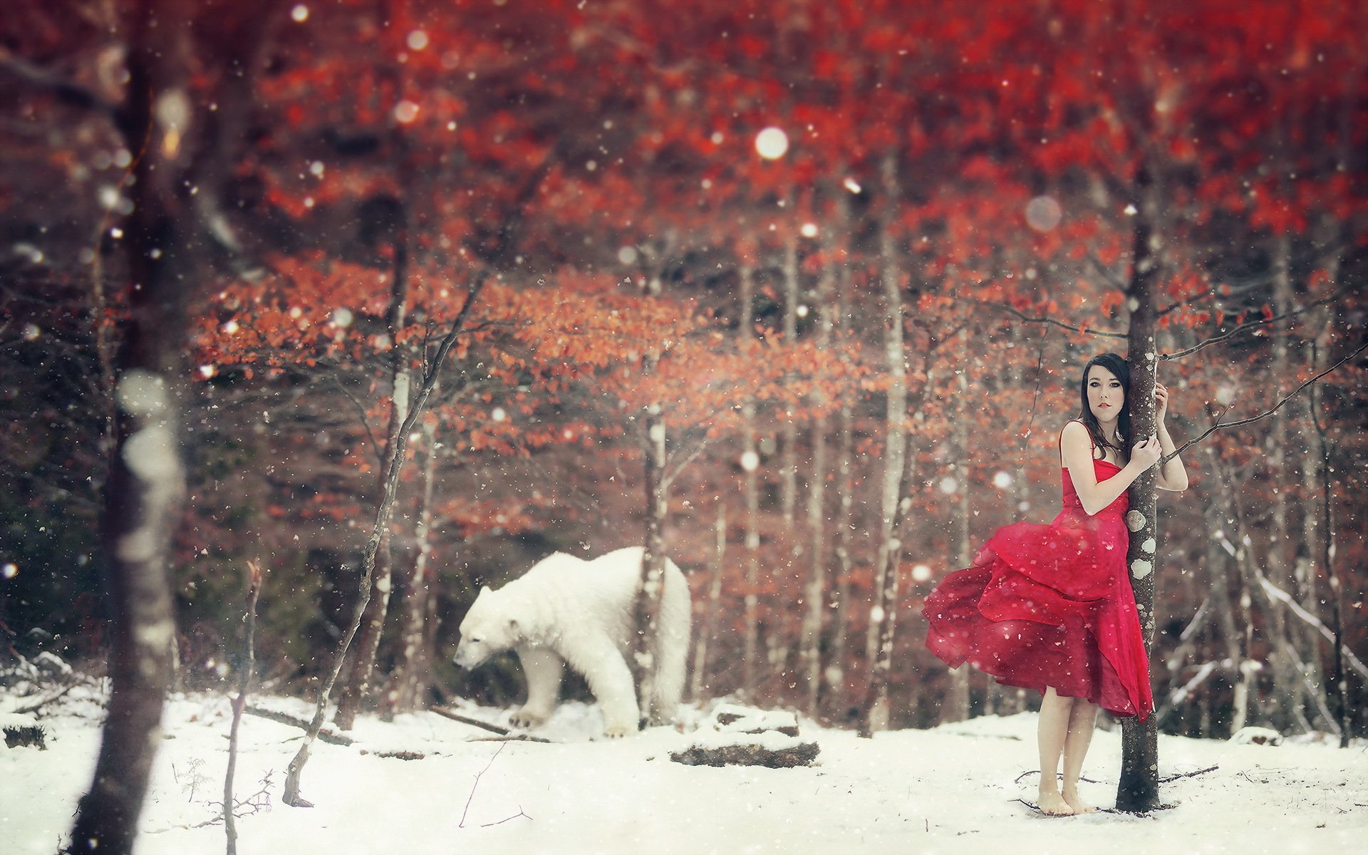 девушка зима платье красное лес загрузить