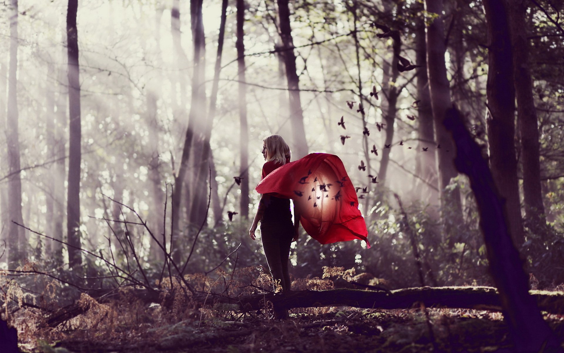 Девушка в лесу скачать