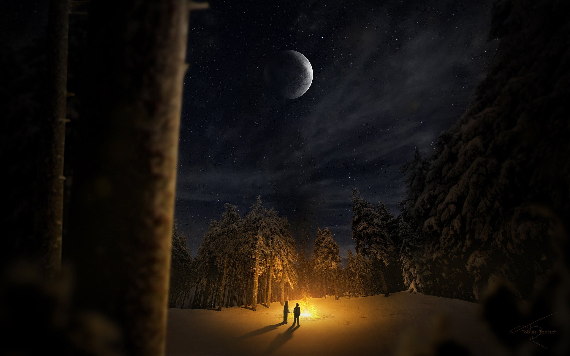 Озаренные сиянием луны. Лунная ночь. Зимняя ночь. «Ночь в лесу». Ночной лес.