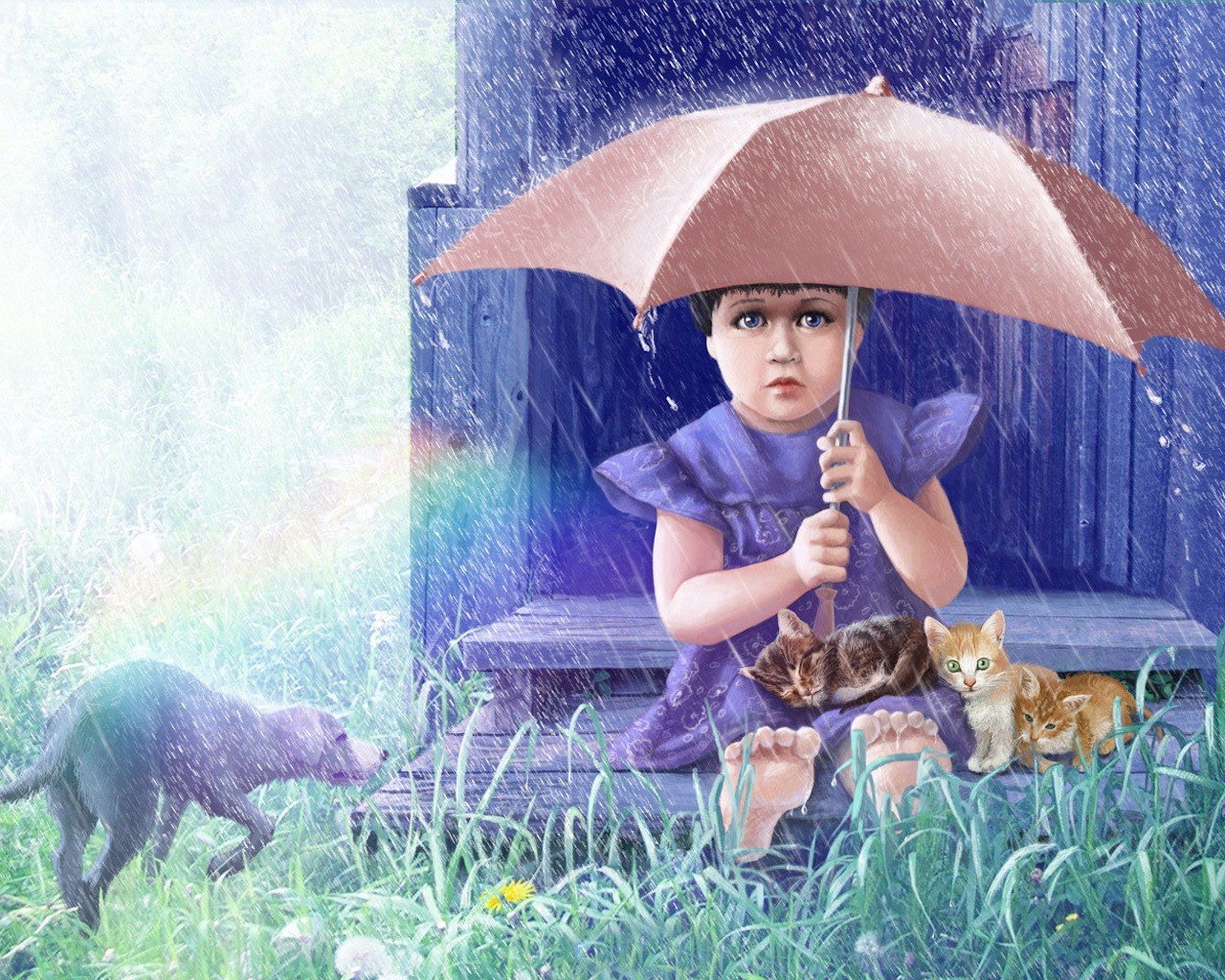 грустный кот дождь анимация загрузить