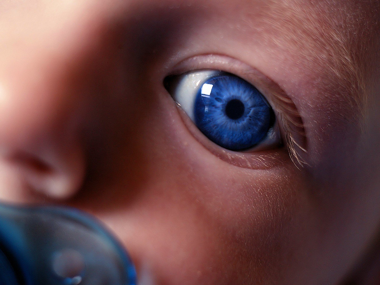синий глаза ребенок