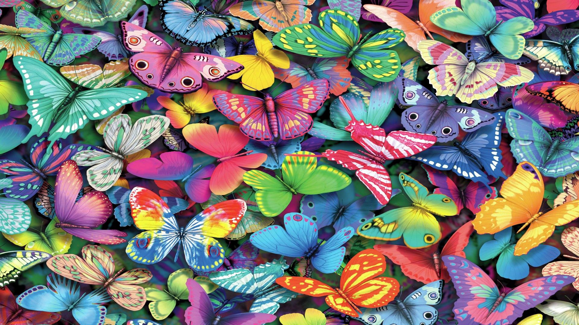 Разноцветные бабочки