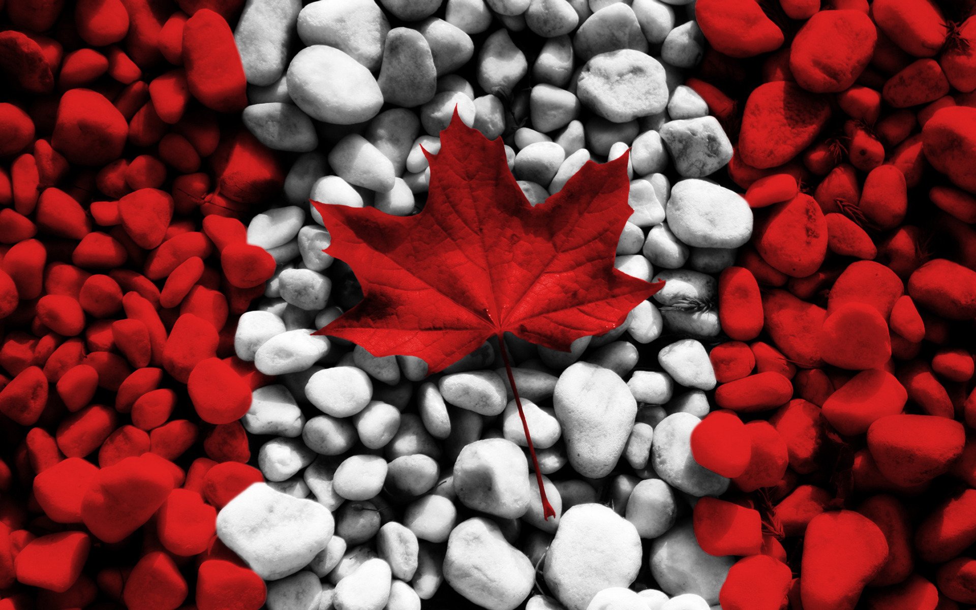 Канадский флаг бесплатно