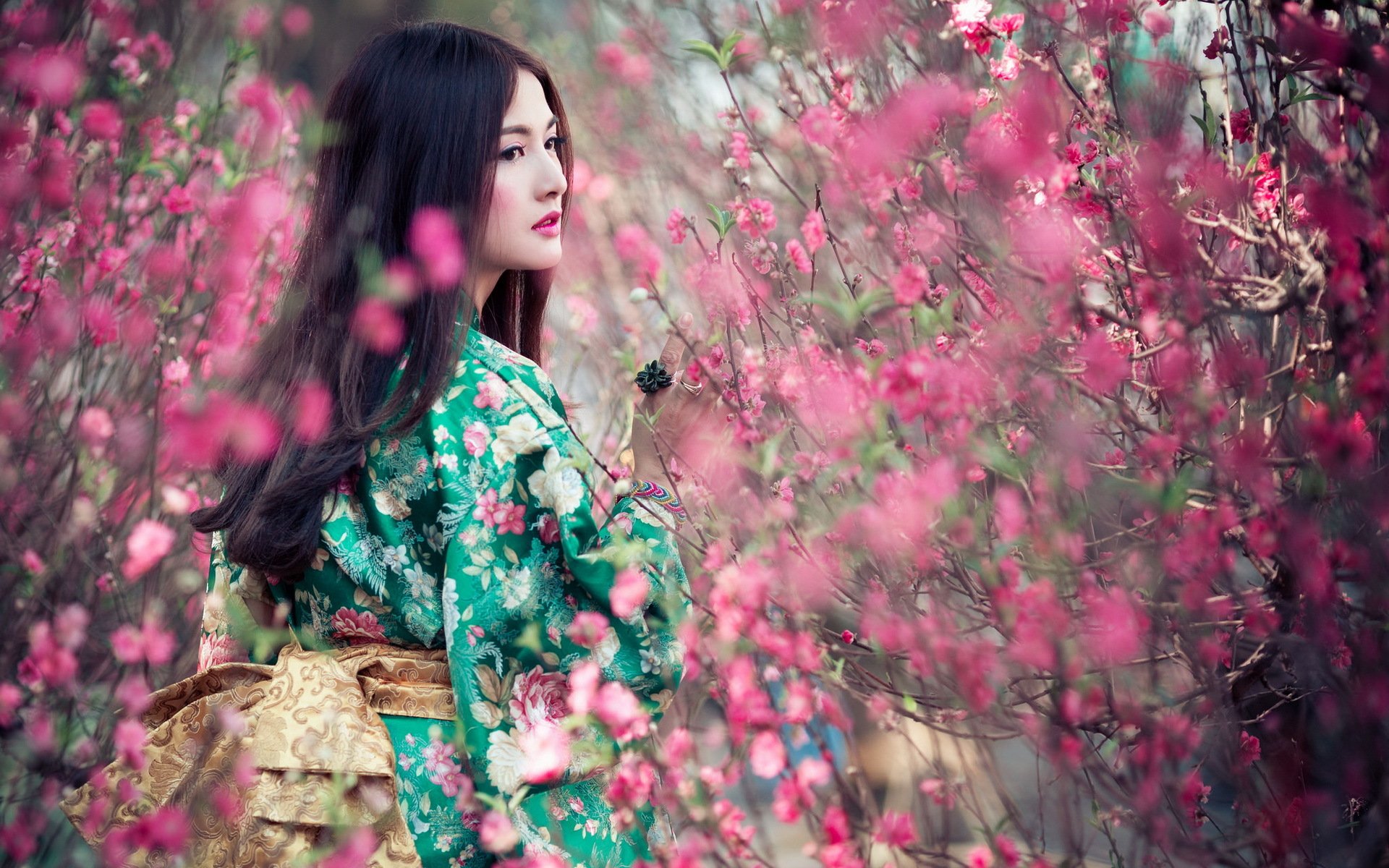 девушка азиатка деревья цветение без смс