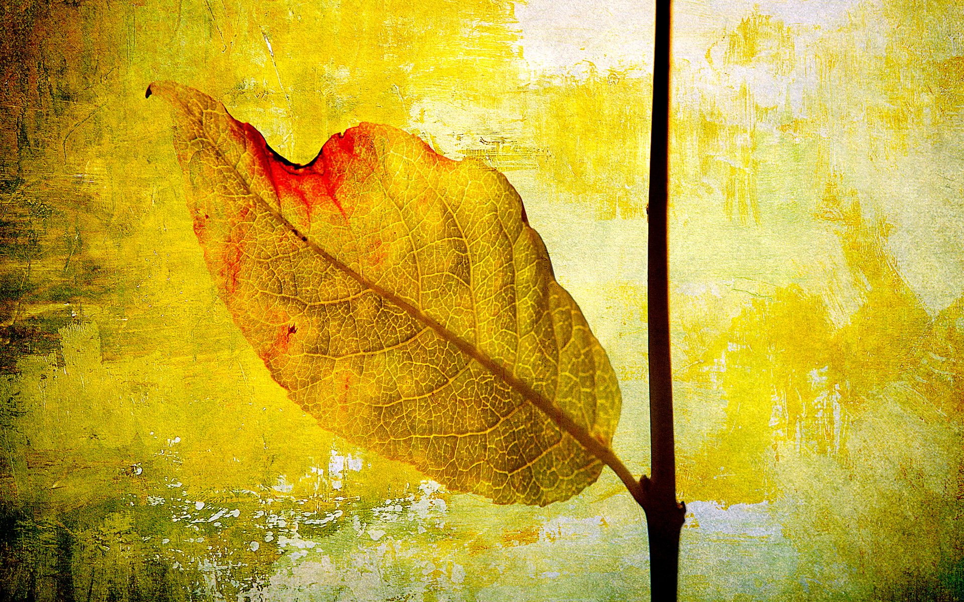Лист арт. Листья живопись. Живопись абстракция листья. Осенние листья живопись. Абстрактные листья.