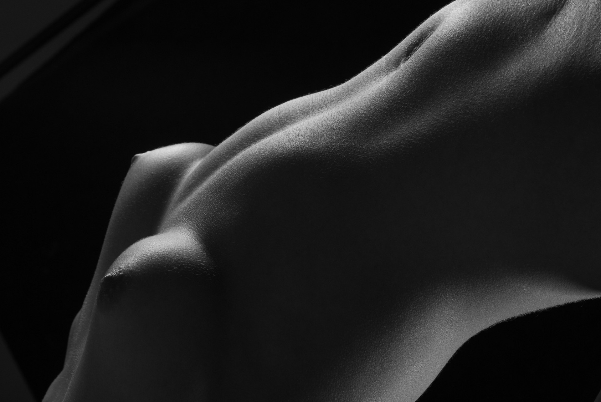 Скачать эротические картинки женских тел skachat-eroticheskie-kartinki-zhenskih-tel