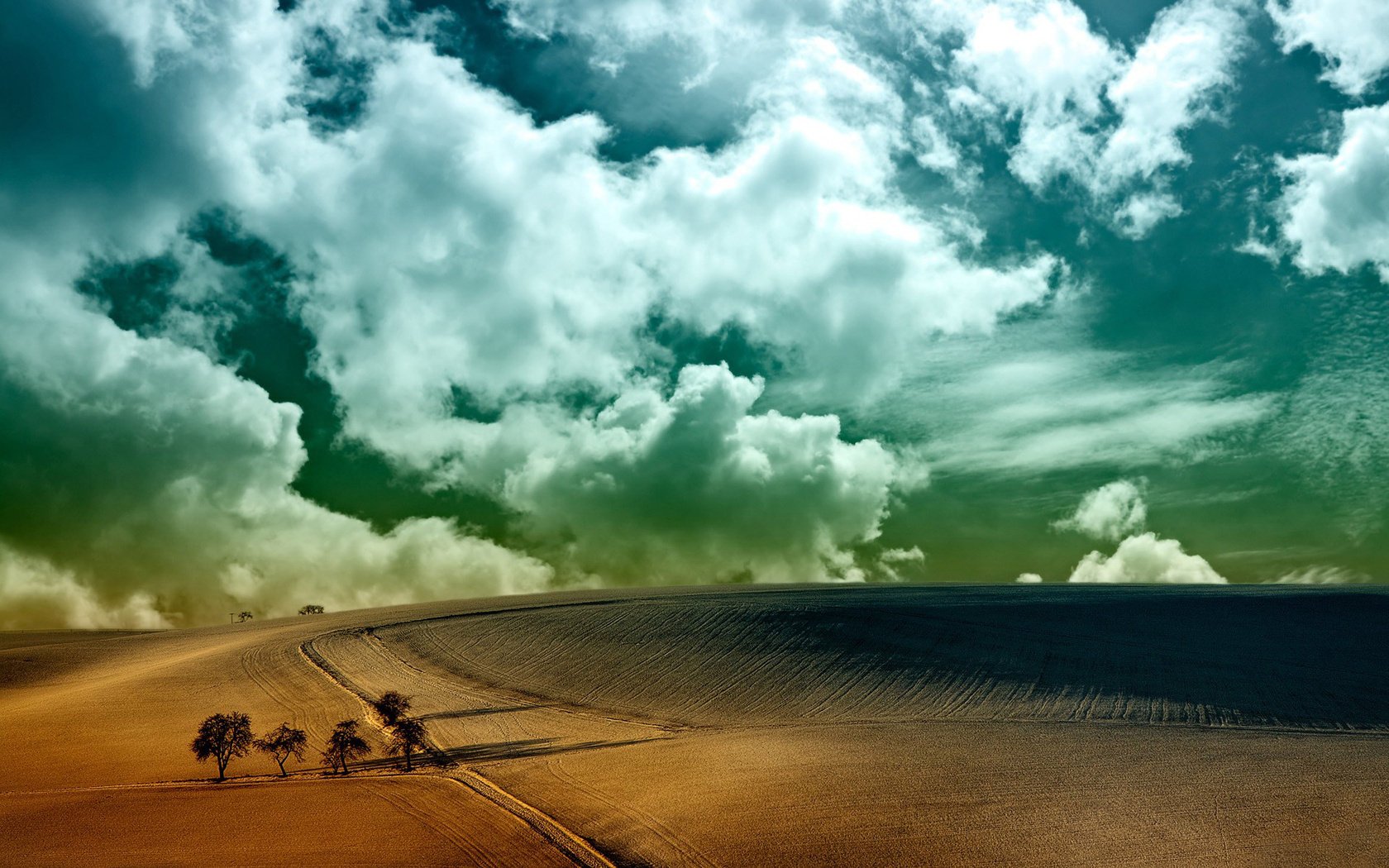 Пустыня с деревьями на фоне белых облаков