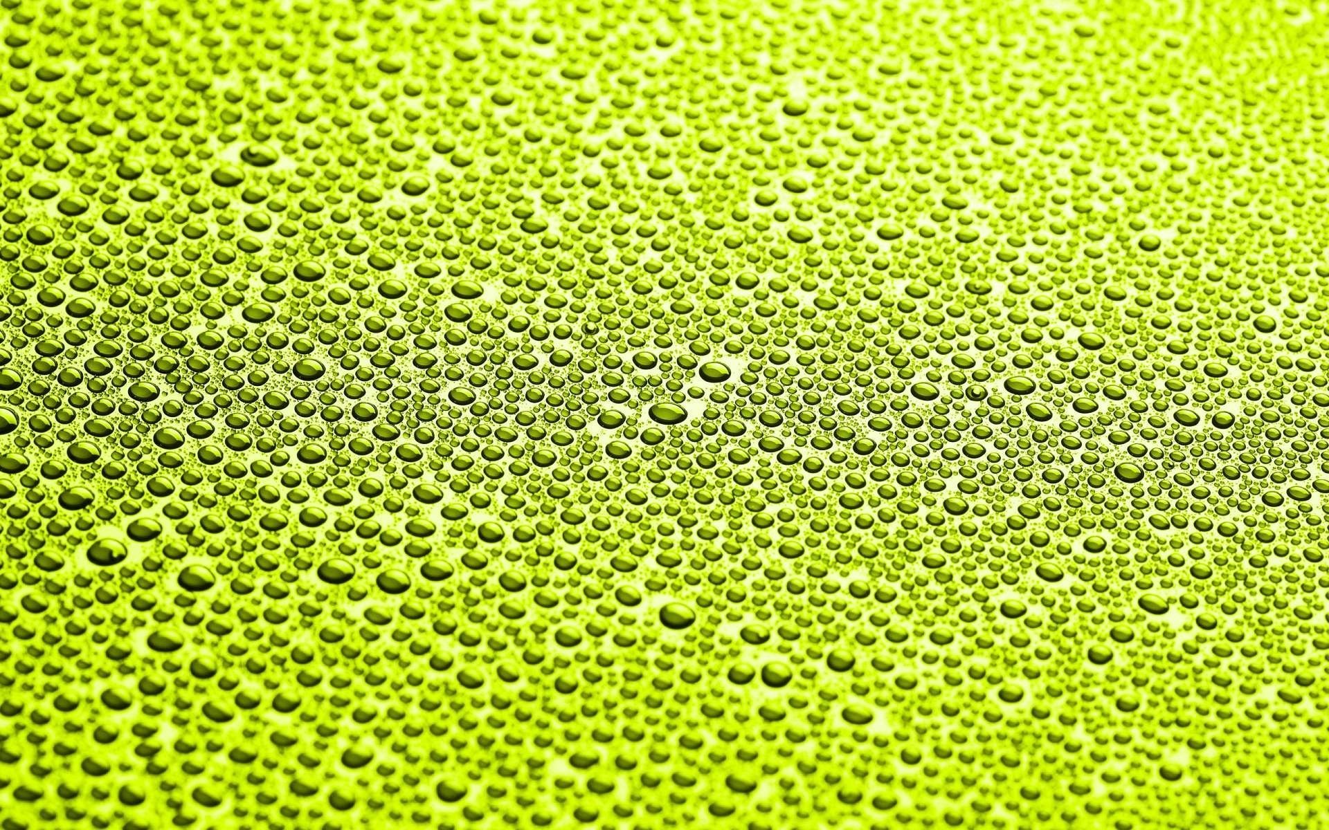 Макро съёмка капель воды на зелёном фоне