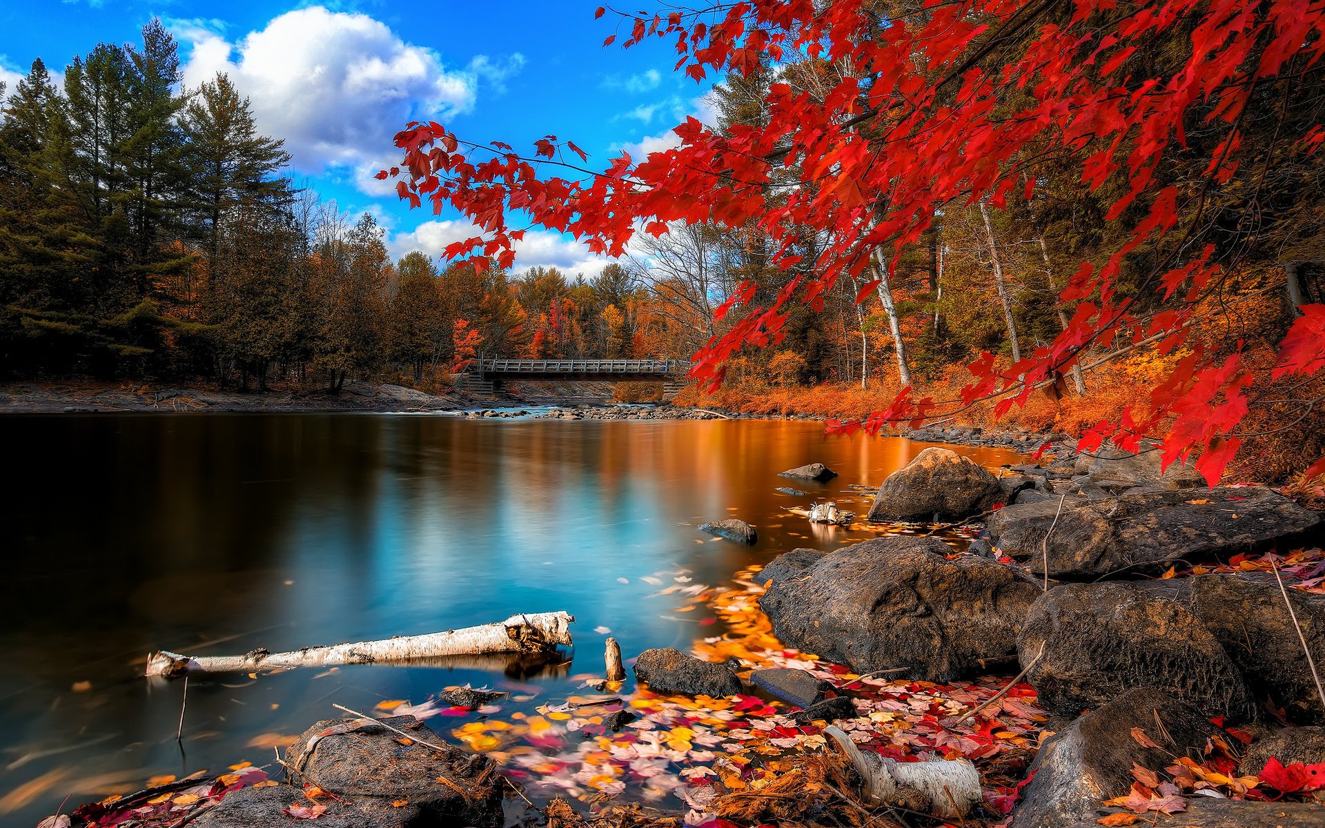 Осенний пейзаж на берегу реки