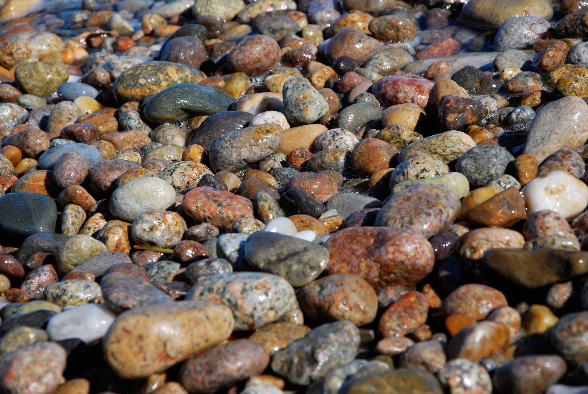 Множество гладких прибрежных сырых камней 
