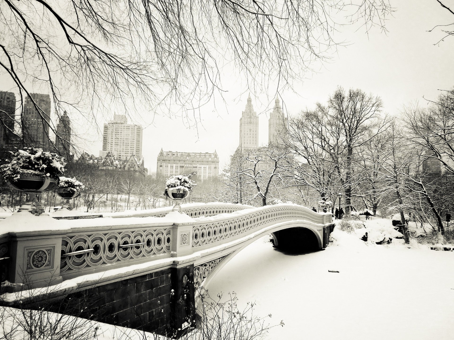 Мост Manhattan Central Park зимой
