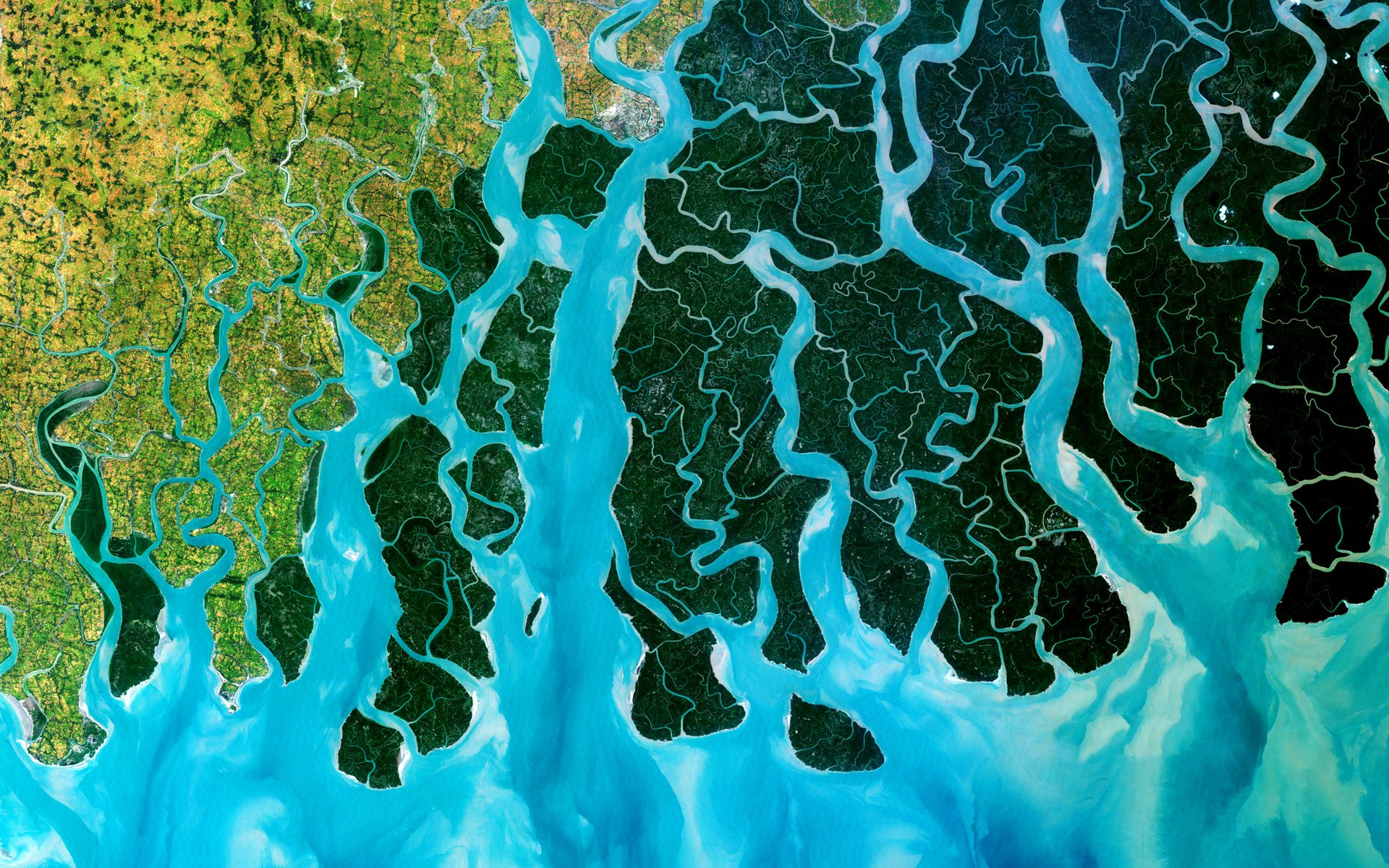 Дельта реки ганг из космосс
