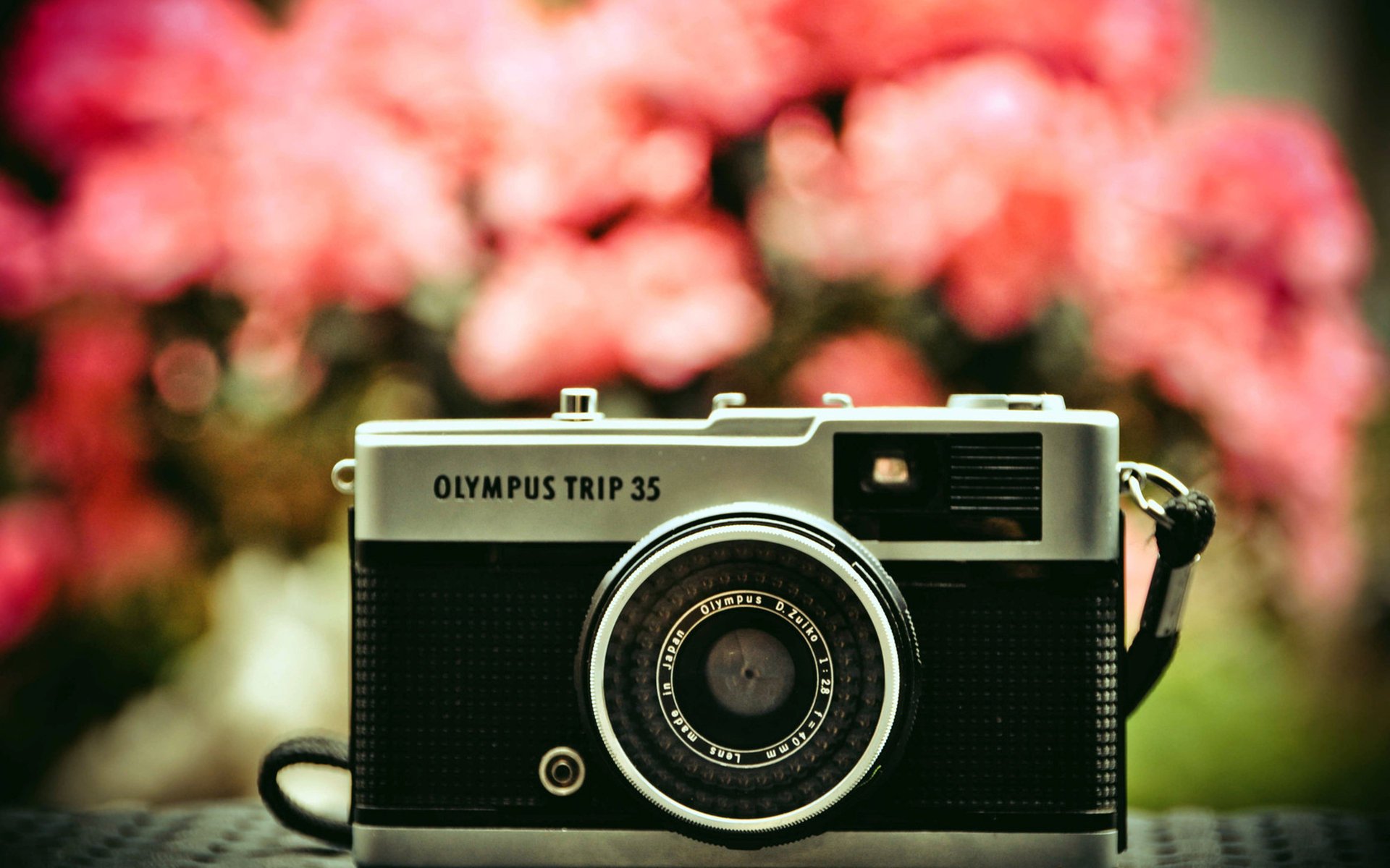 Цифровой фотоаппарат Olympus в цветах