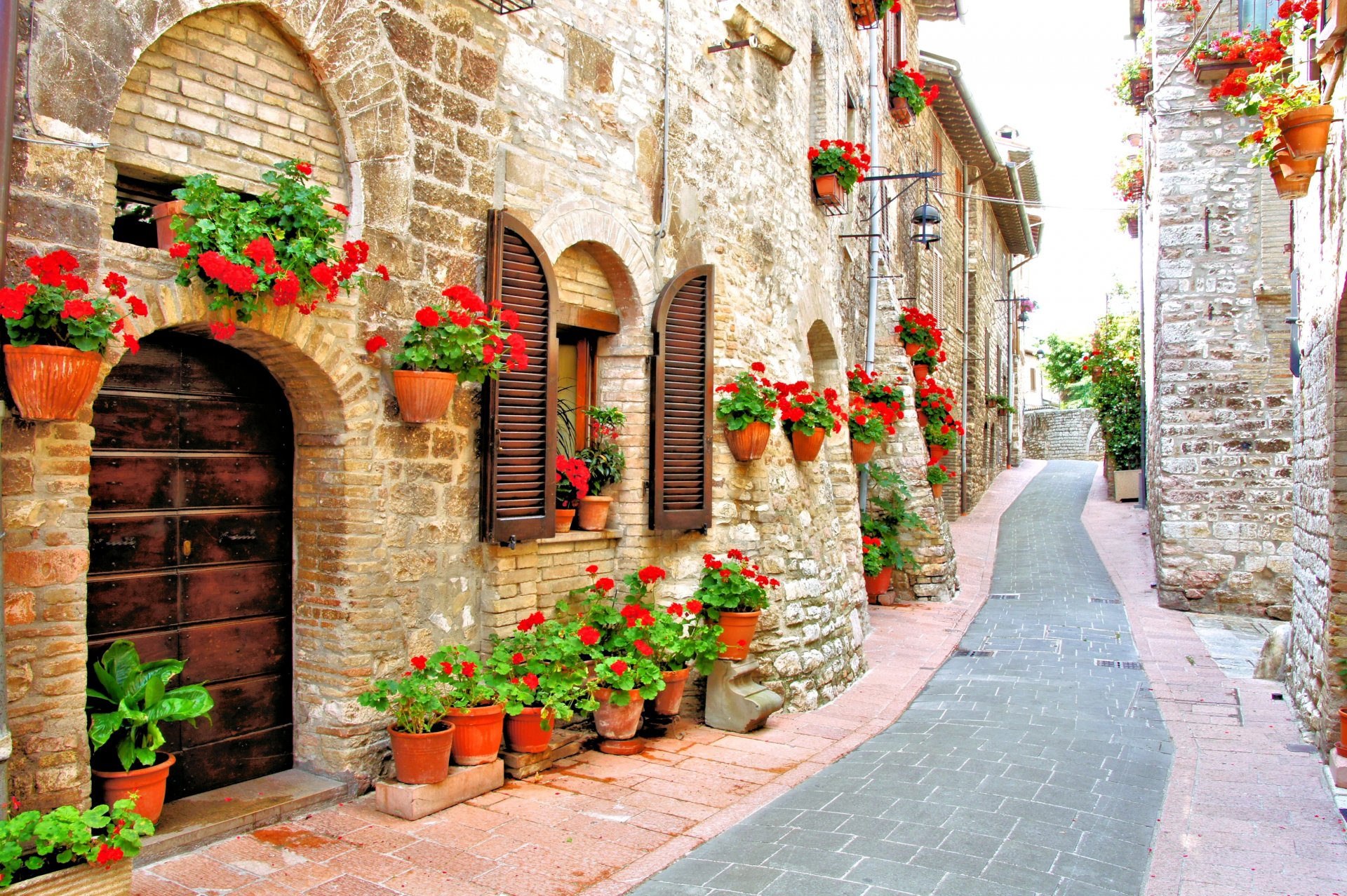 италия дома улочка горшки цветы красные герань
