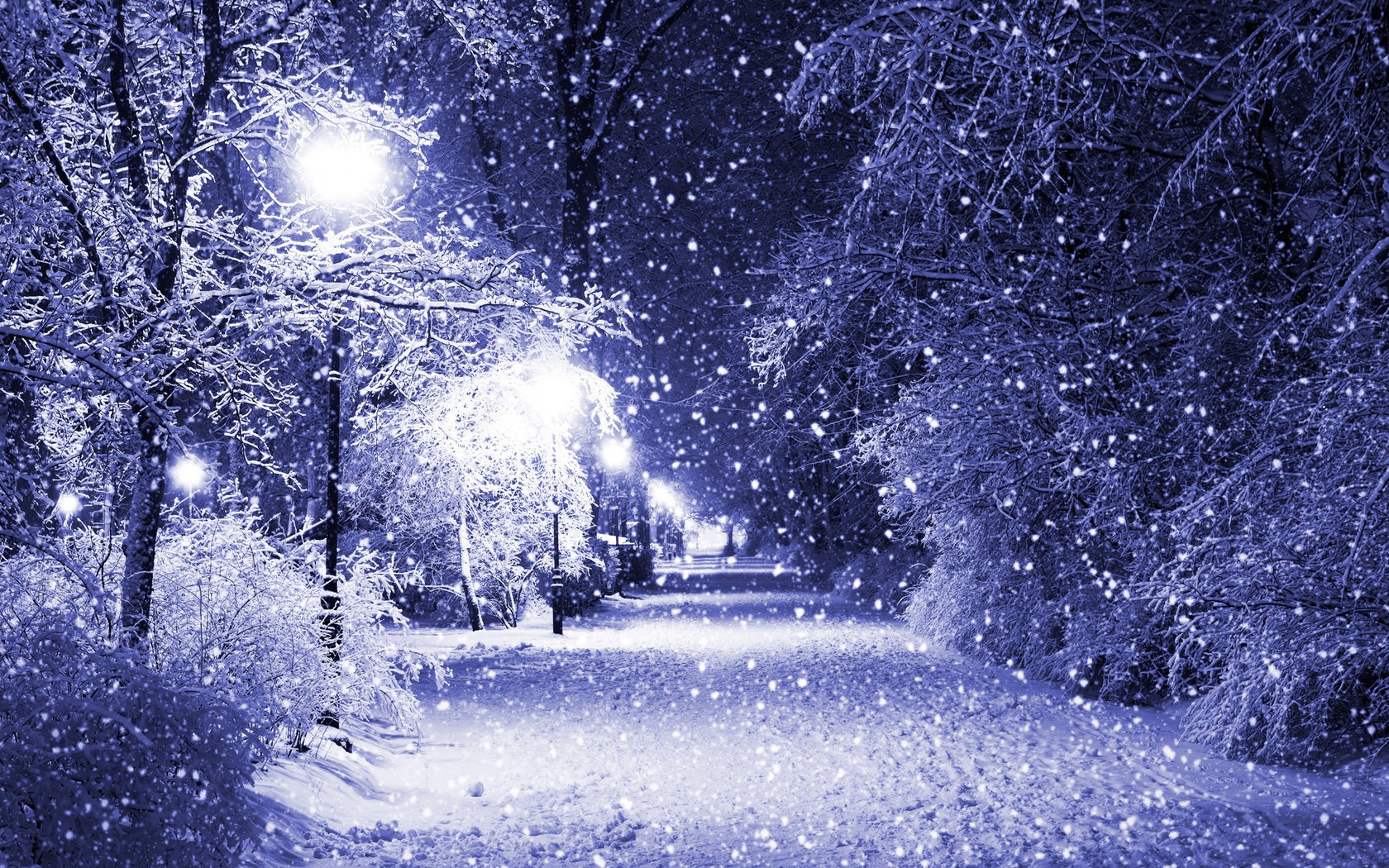 Ночью в парке зимой снег и фонари