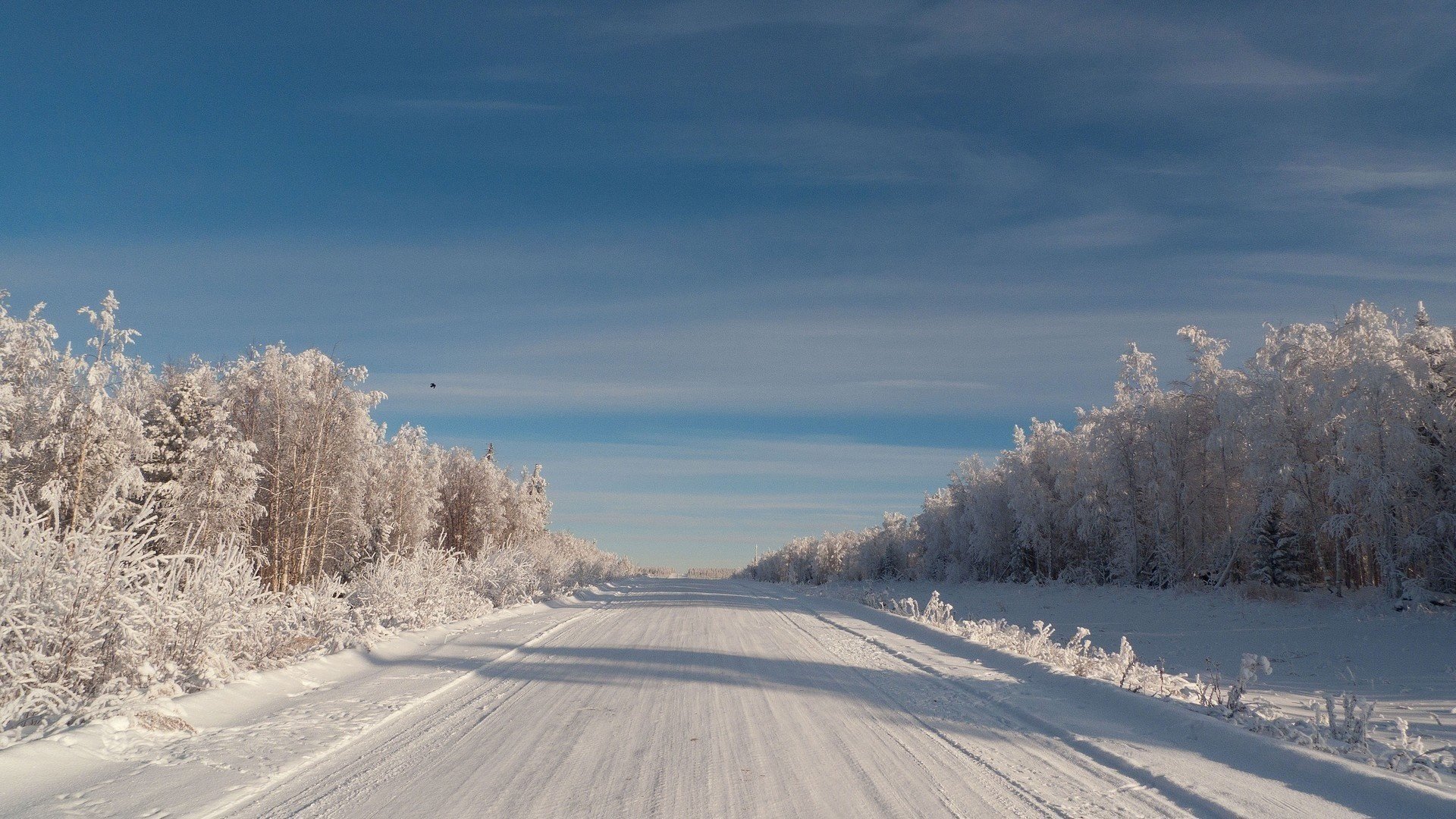 Зимняя дорога в кедровом лесу