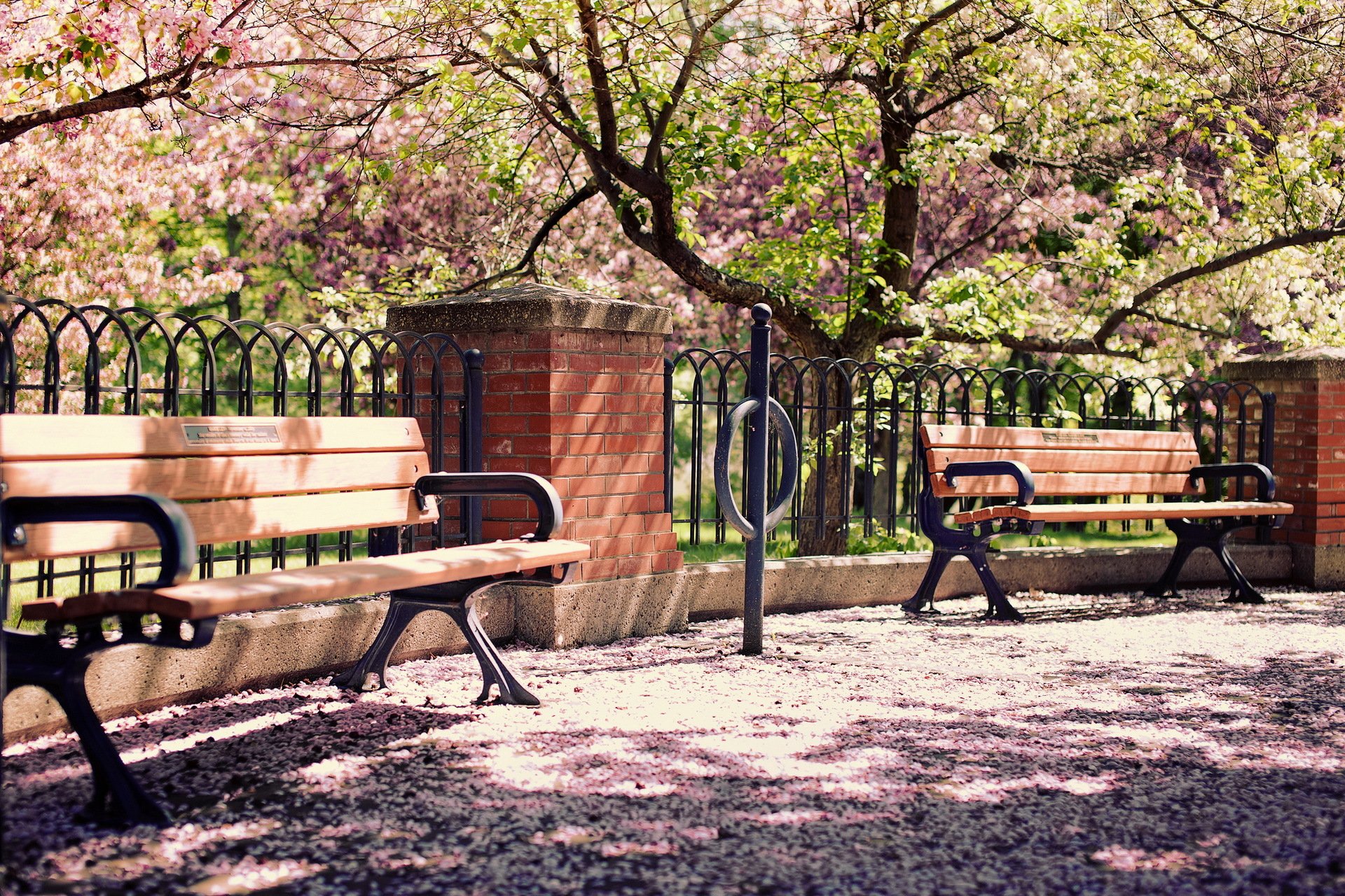 Обои на стол на улице. Лавочка Япония парк. Пейзаж со скамейкой. Лавочка в парке.