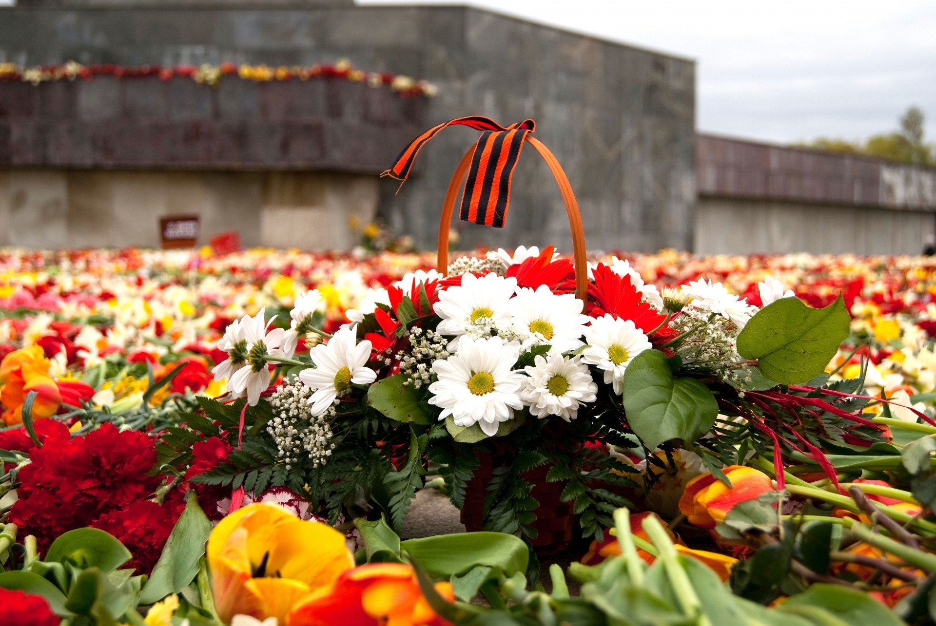день победы георгиевская ленточка память цветы