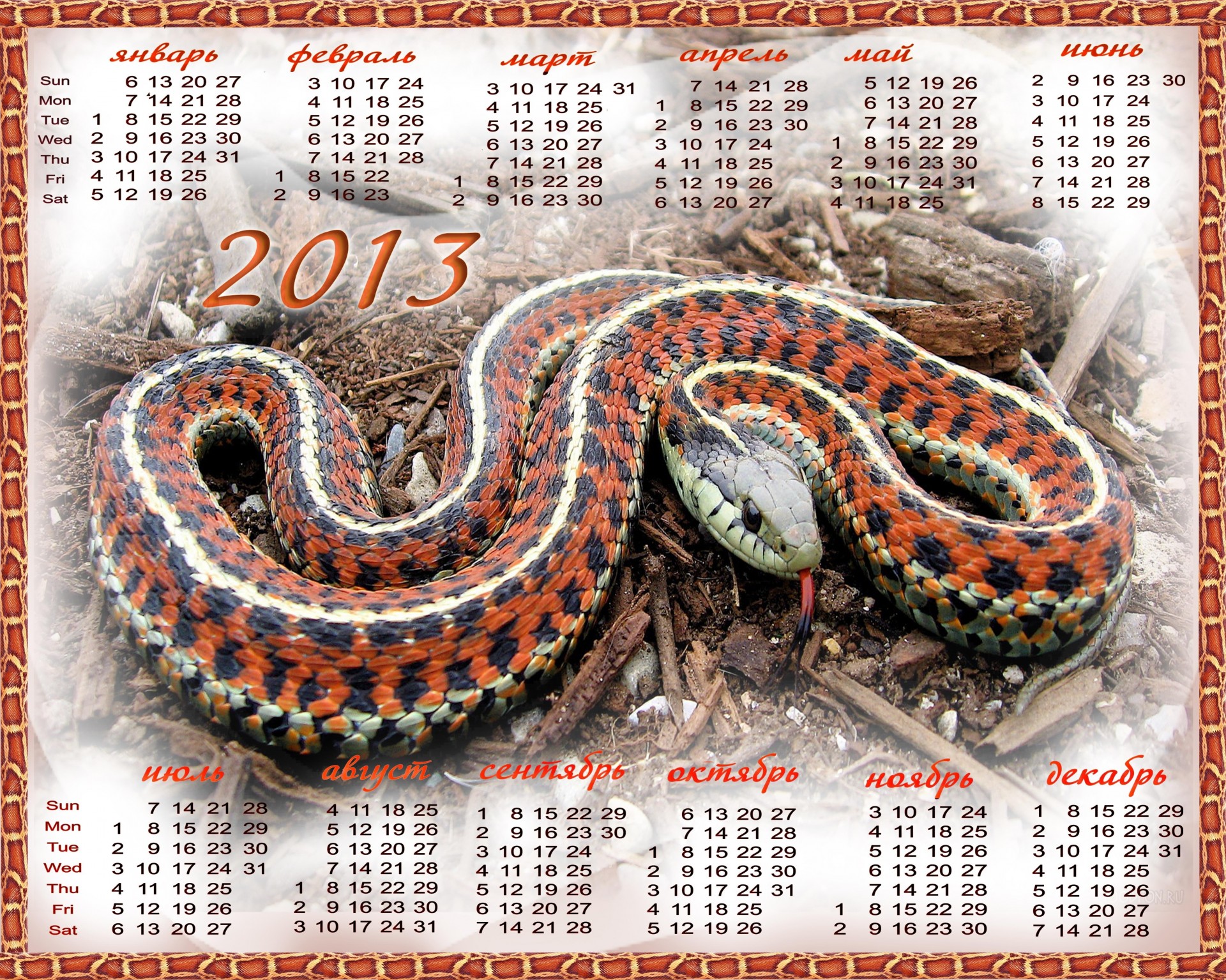 Новый Год 2013 7 Новый Год 2013 7