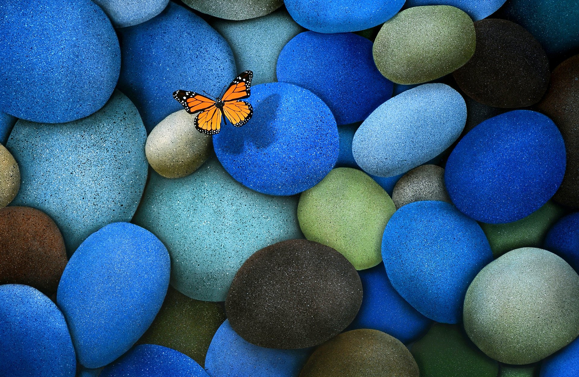 Цветные камеи с тенью бабочки