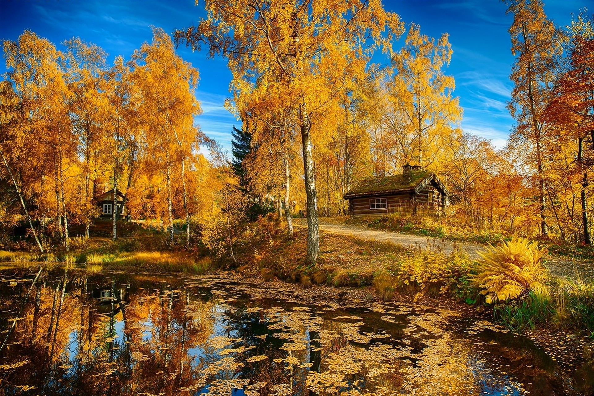 пейзаж природа озеро деревья дорога дом осень норвегия