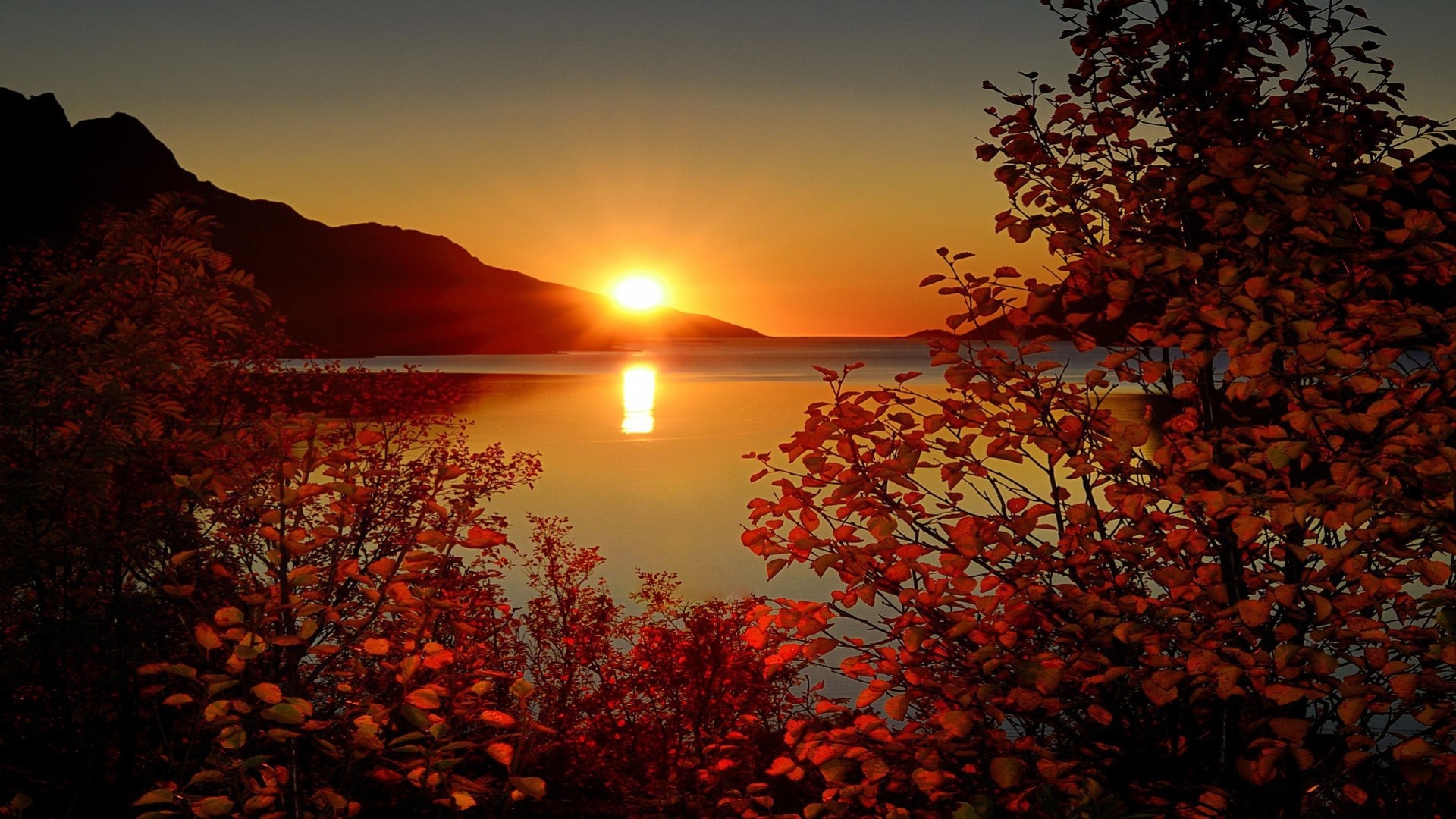 лист пейзаж закат природа озеро деревья солнце горы