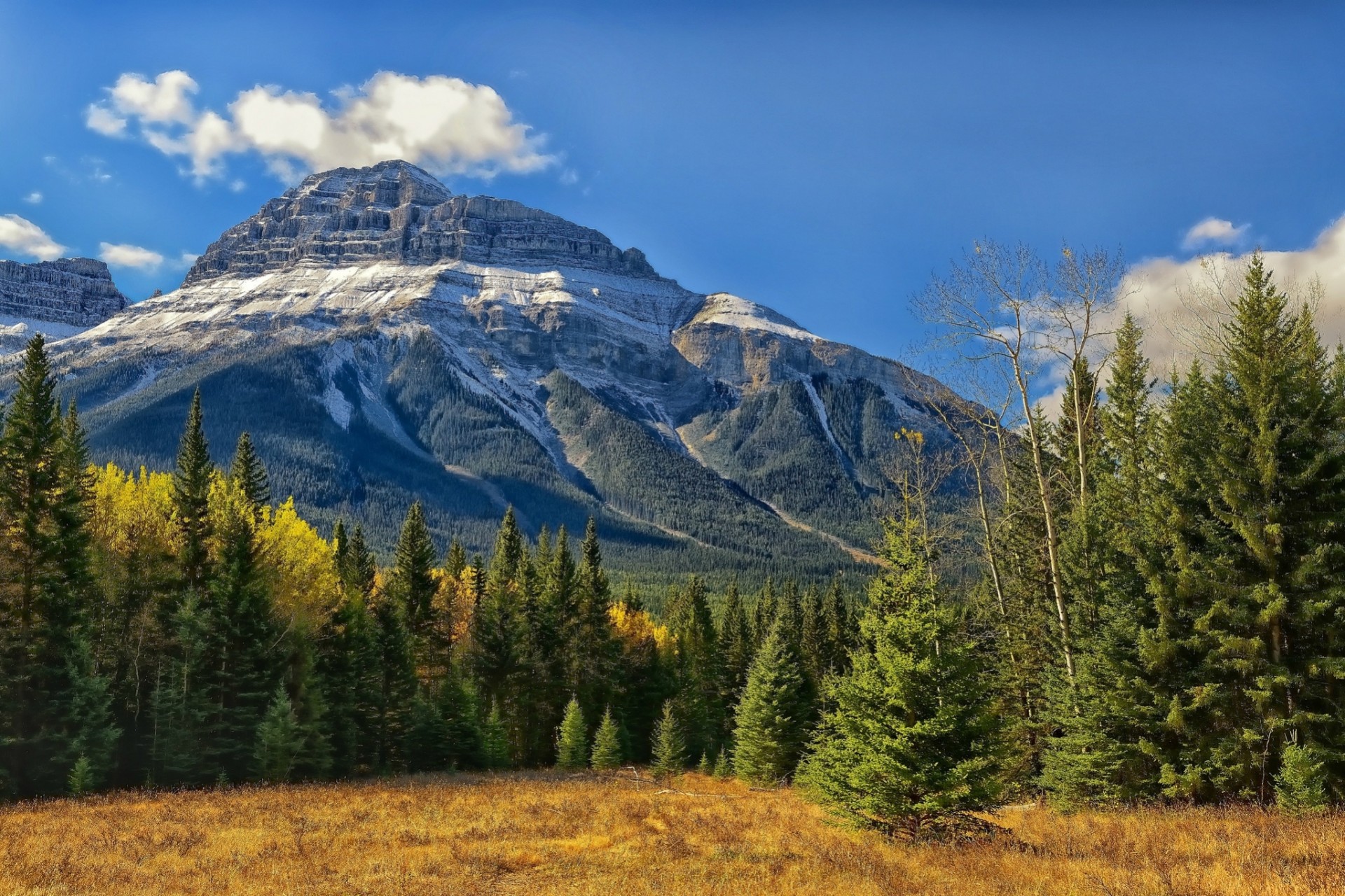 альберта национальный парк банф горы канада скалистые горы банф долина боу лес деревья канадские скалистые горы