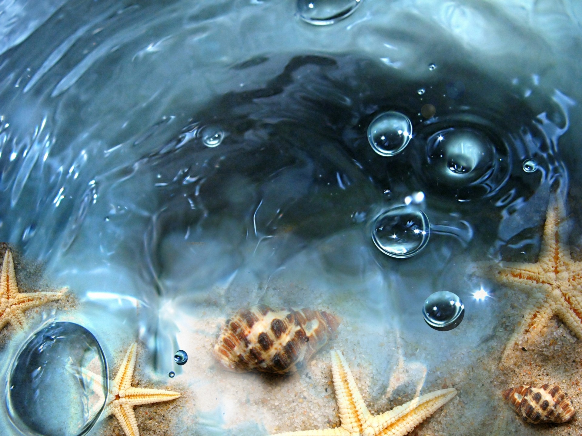 пузыри звезды ракушки прозрачная вода